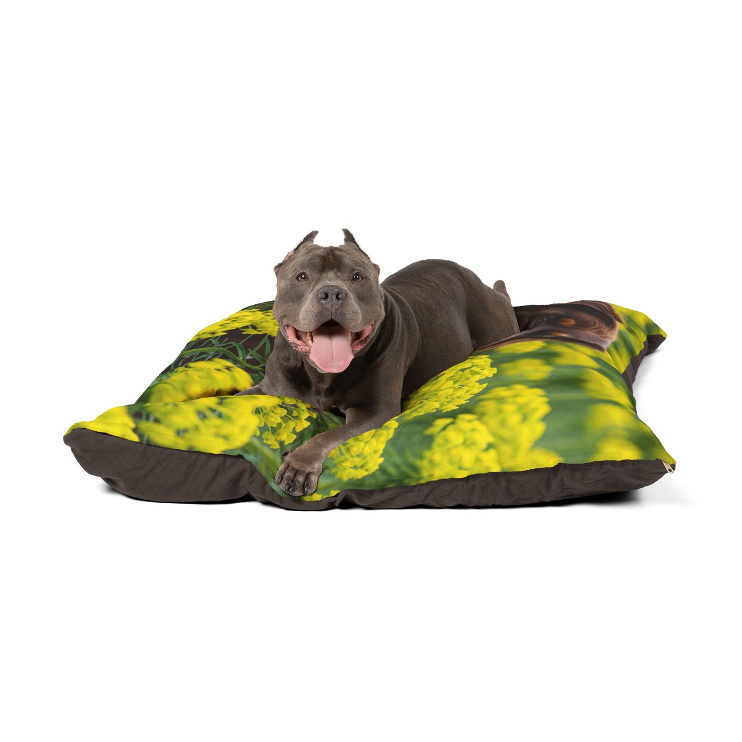 Hovawart Pet Bed