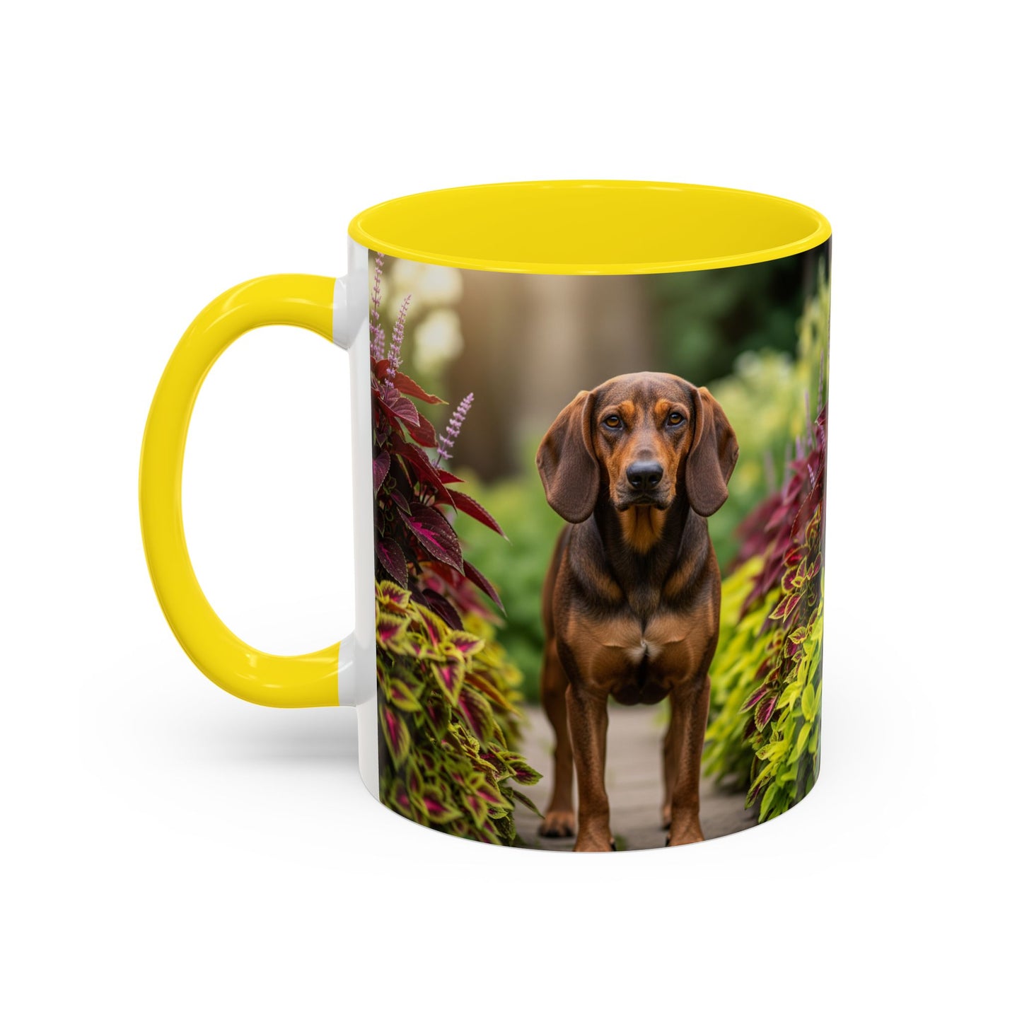 Hamiltonstovare Accent Coffee Mug - Perfect Gift for Dog Lovers