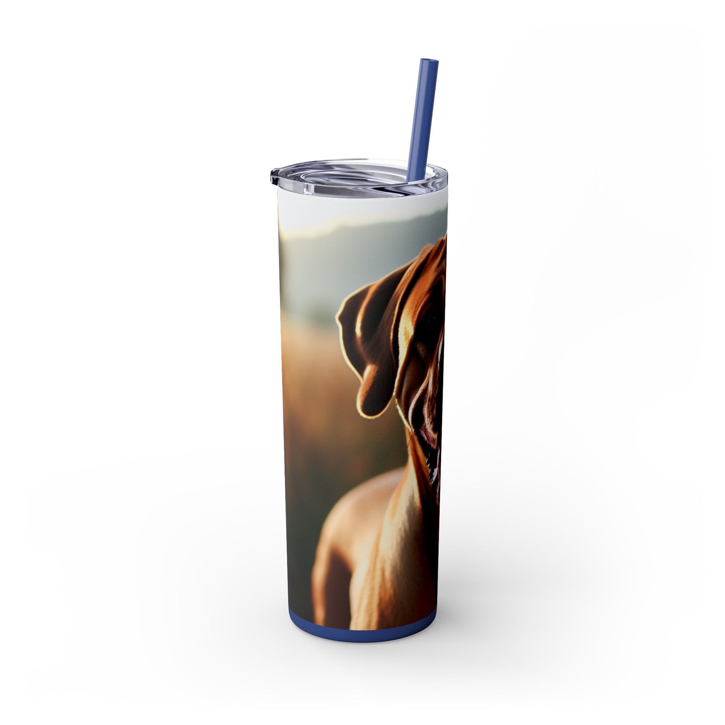 Broholmer Tumbler with Straw, 20oz