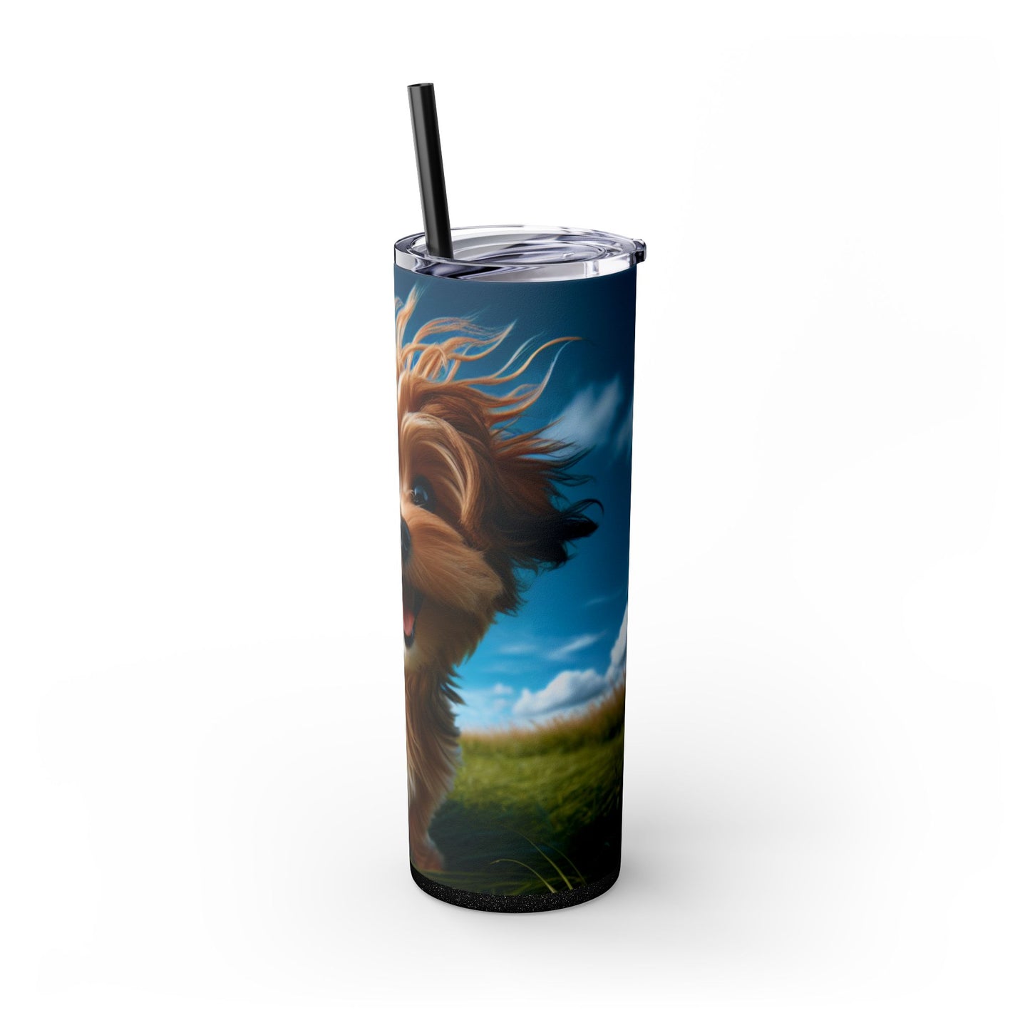Kaikadi Tumbler with Straw, 20oz