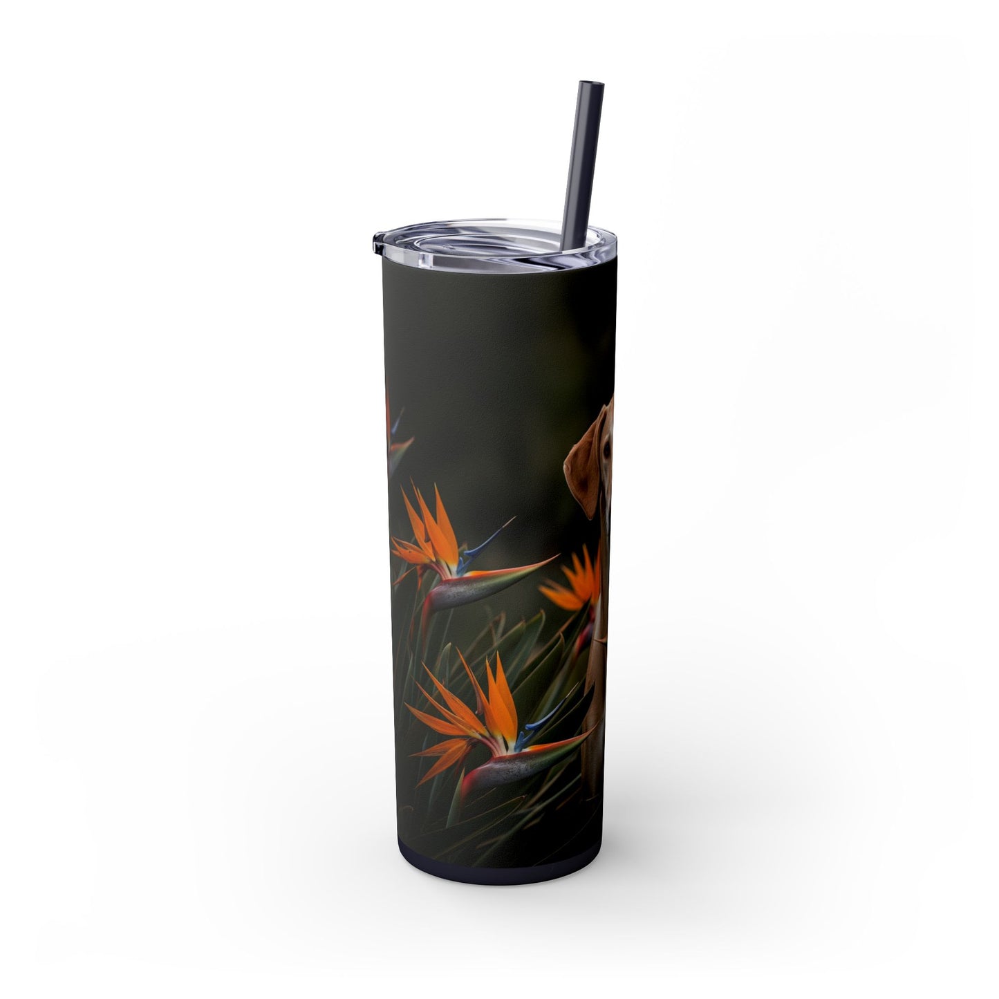 Azawakh Tumbler with Straw, 20oz