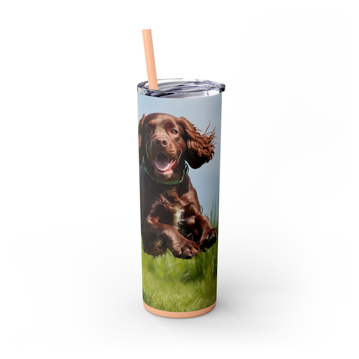 Irish Water Spaniel Tumbler with Straw, 20oz