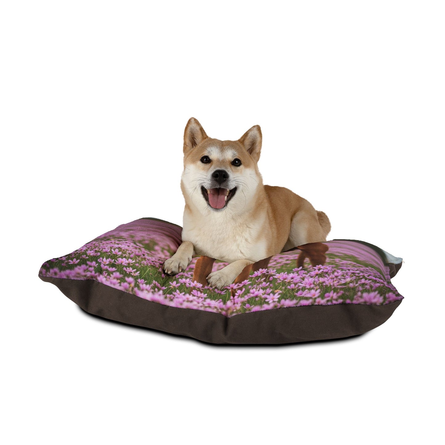 Pharaoh Hound Pet Bed