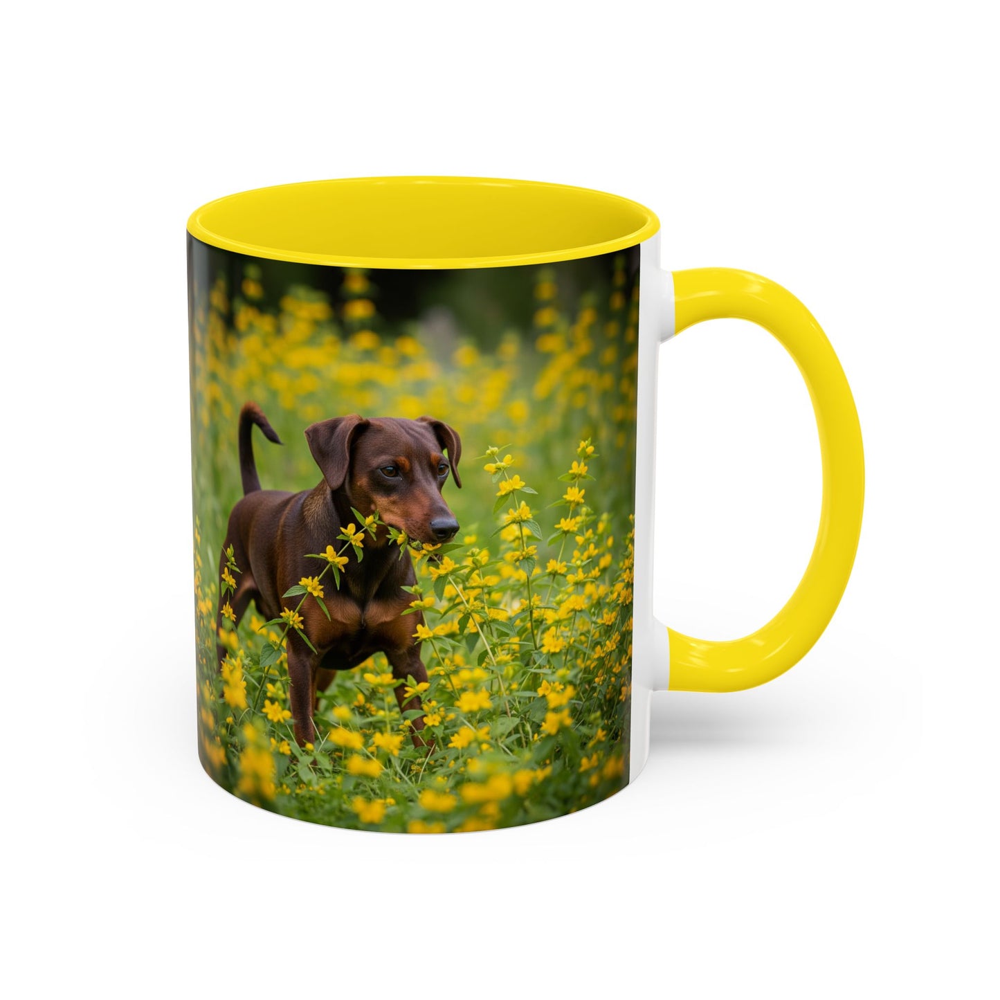 German Pinscher Accent Coffee Mug - Perfect Gift for Dog Lovers