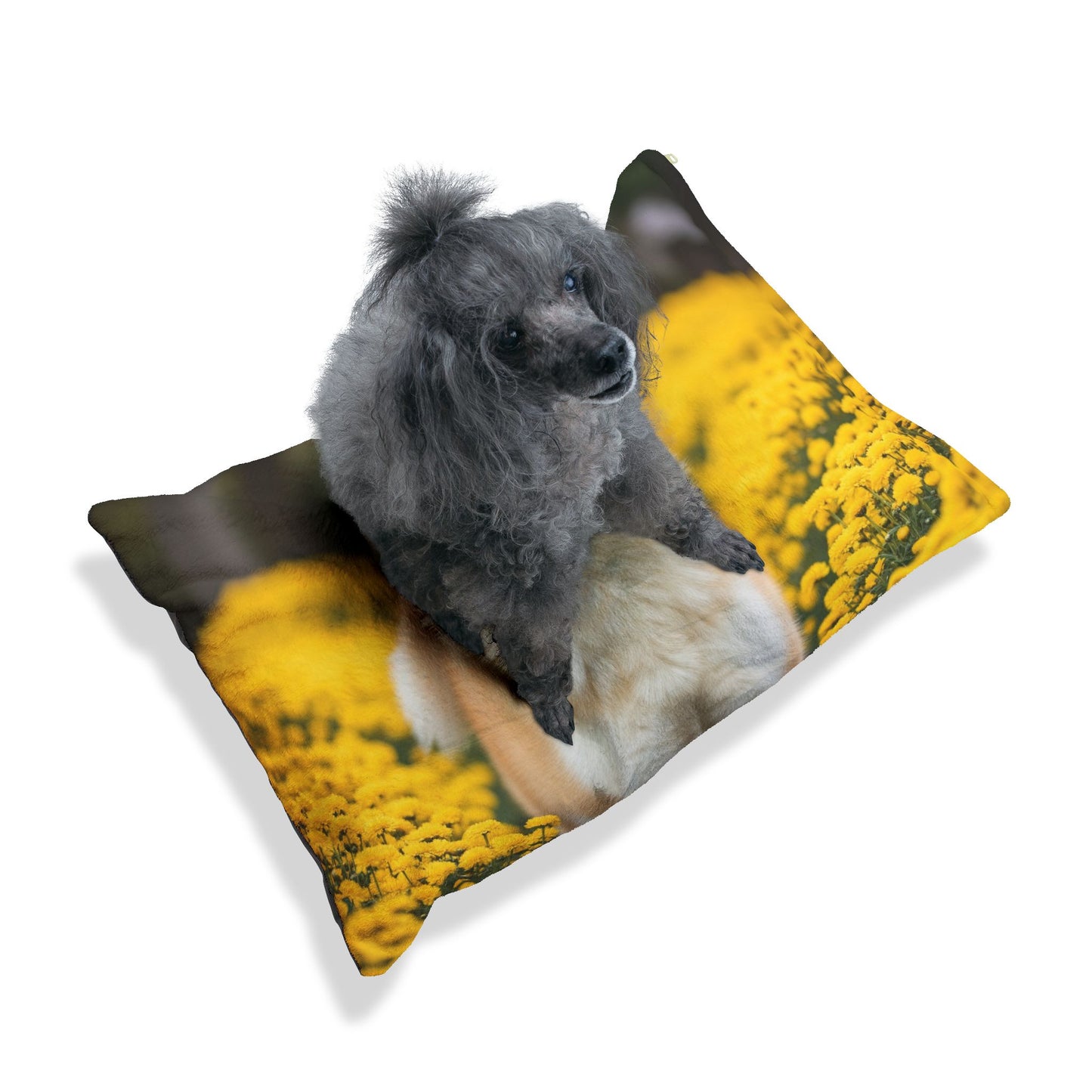 Japanese Akitainu Pet Bed