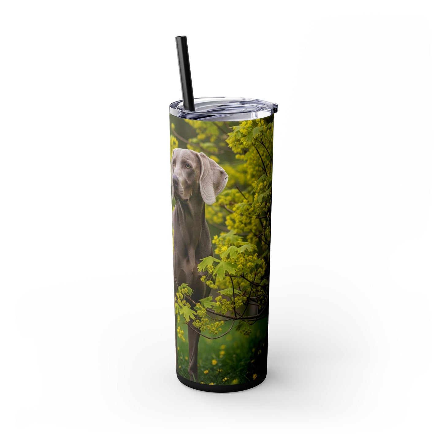 Weimaraner Skinny Tumbler with Straw, 20oz