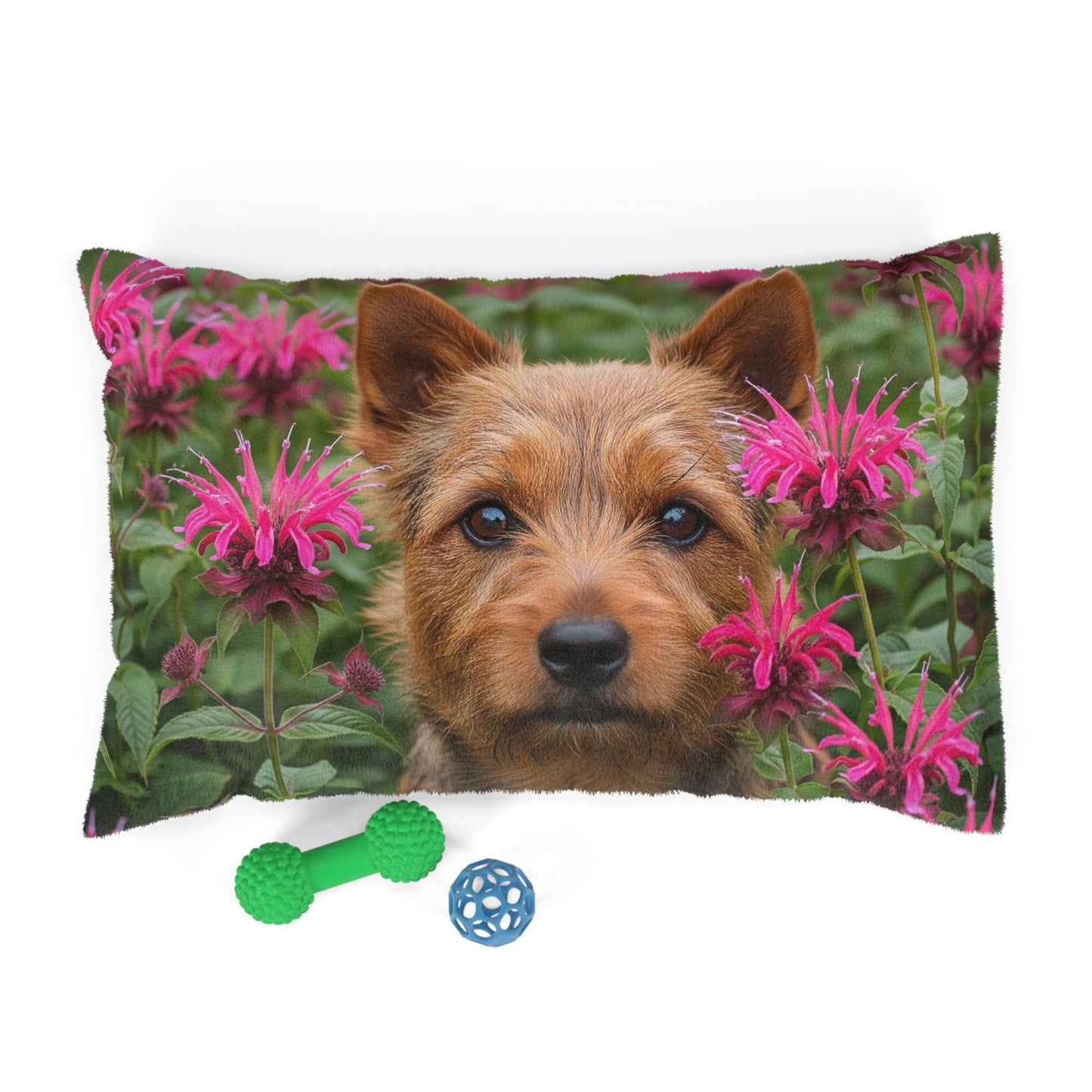 Norwich Terrier Pet Bed