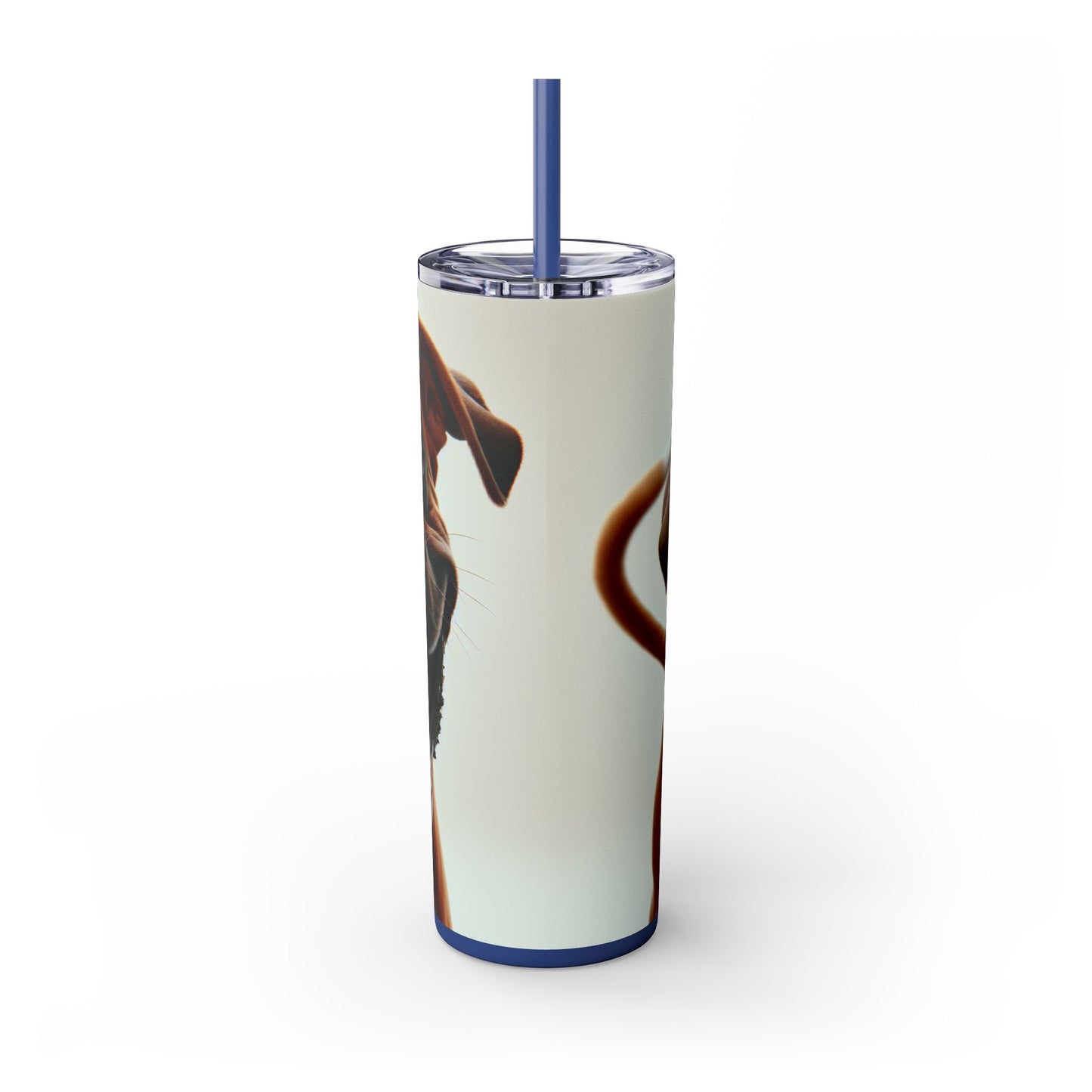 Boxer Skinny Tumbler with Straw, 20oz
