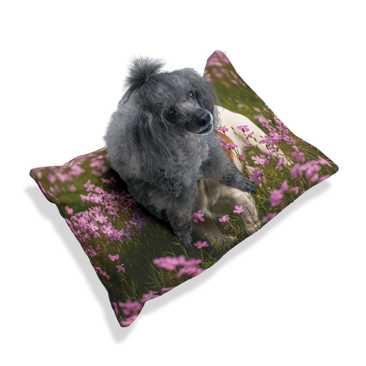 Parson Russell Terrier Pet Bed