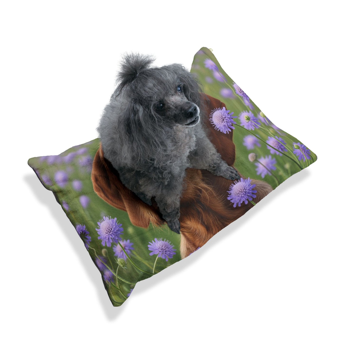Hungarian Wirehaired Vizsla Pet Bed
