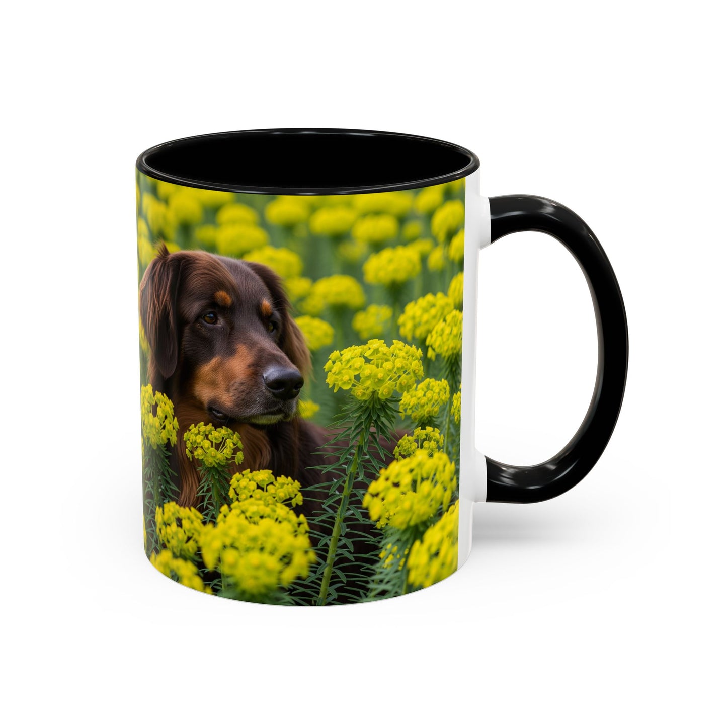 Hovawart Accent Coffee Mug - Perfect Gift for Dog Lovers