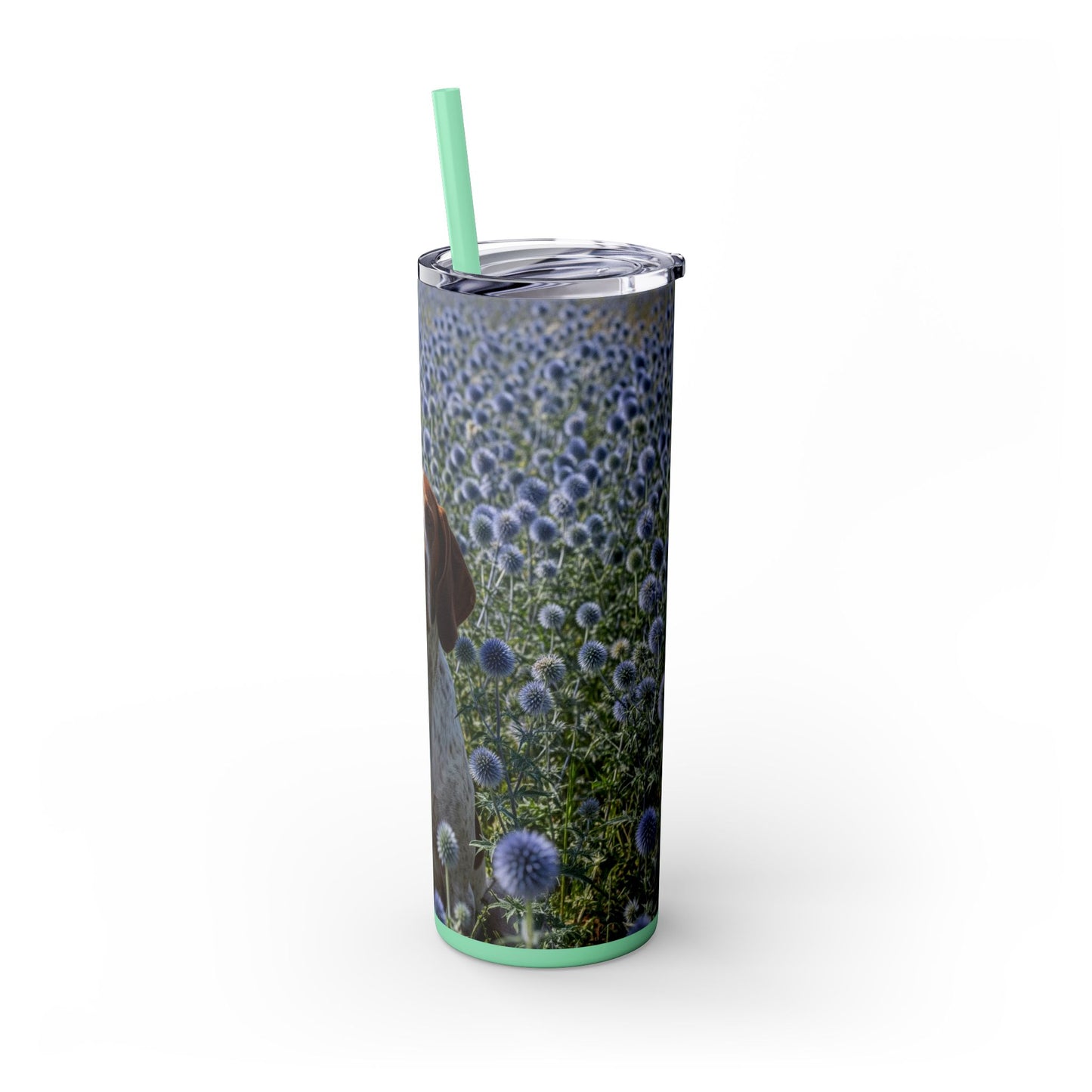 Braque Francais Pyrenean Tumbler with Straw, 20oz