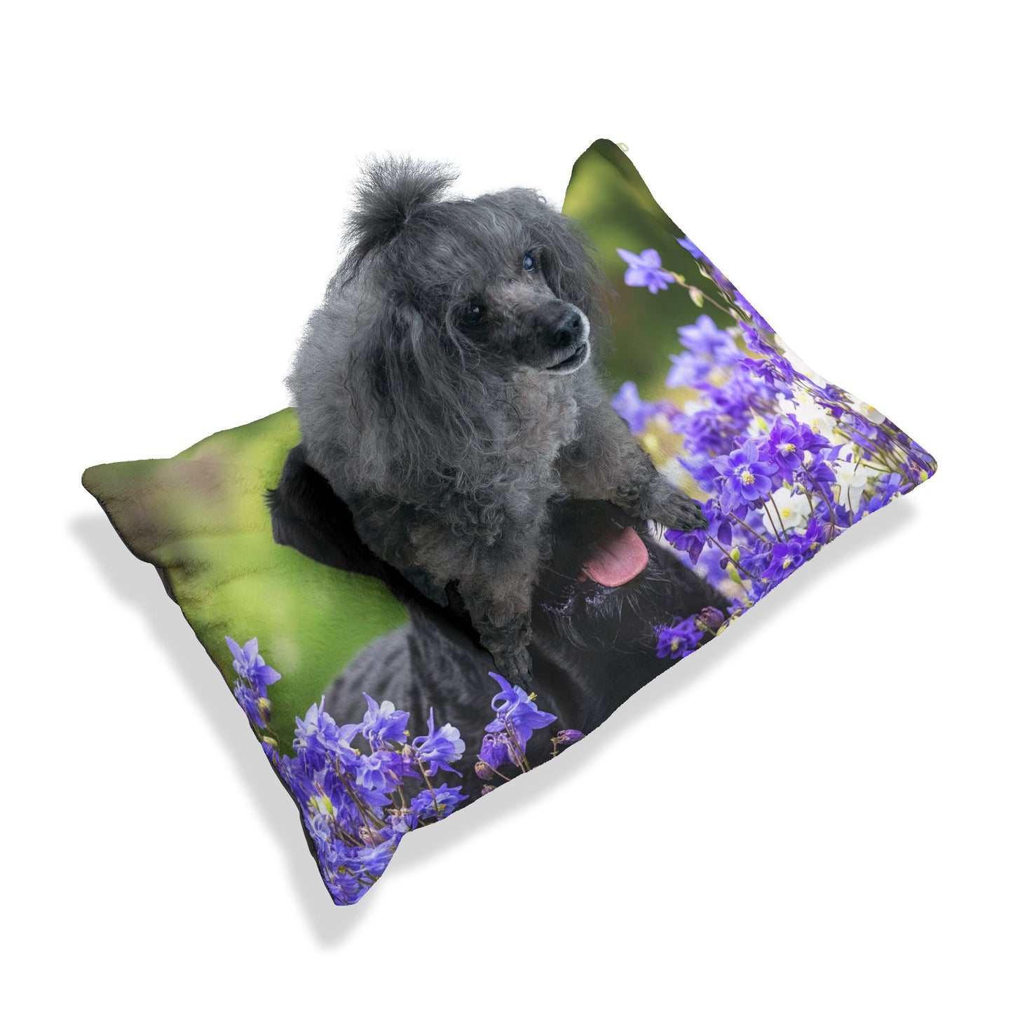Black Russian Terrier Pet Bed