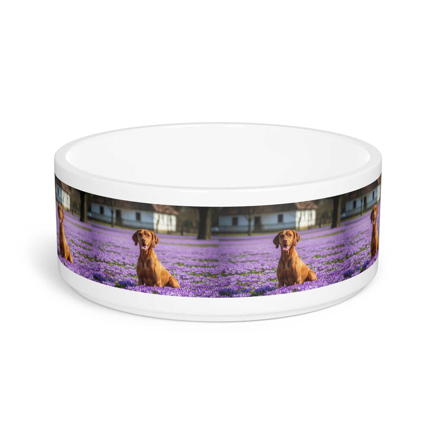 Vizsla Pet Bowl