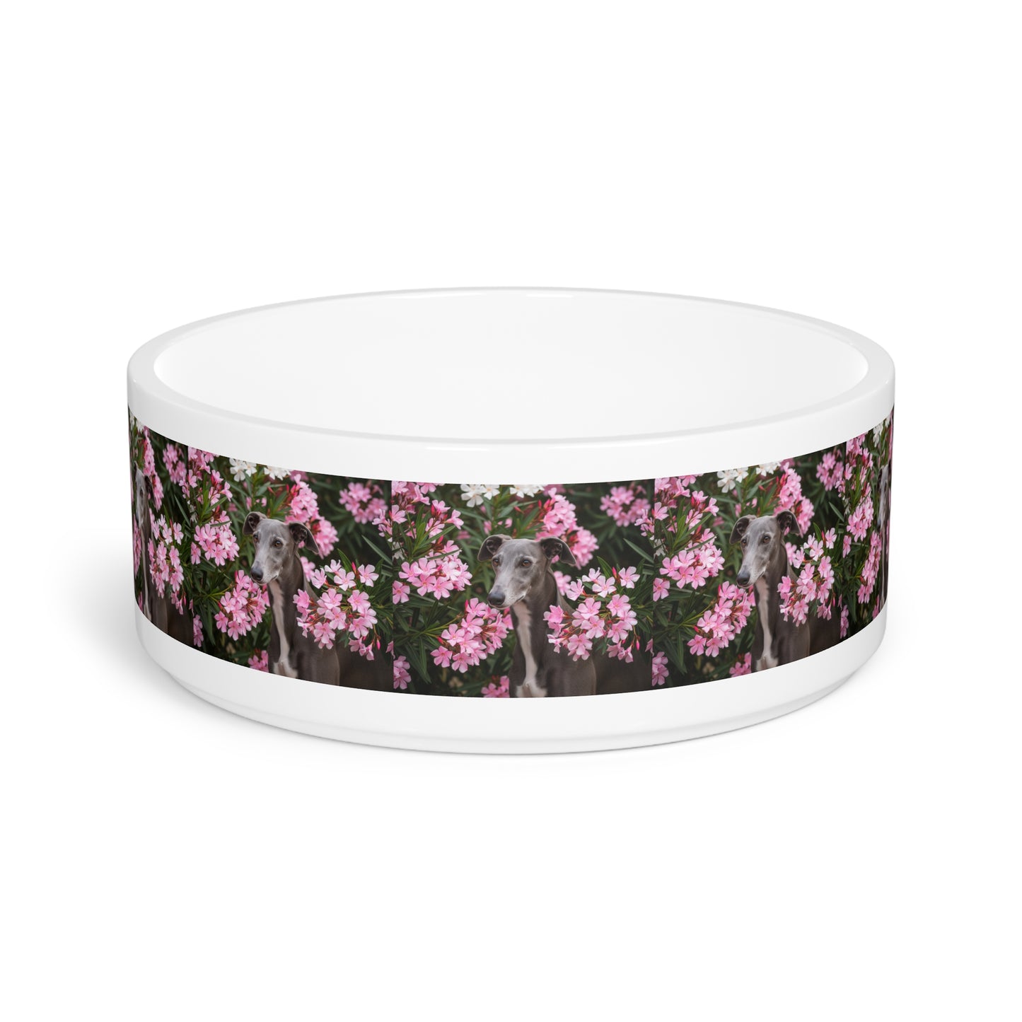 Greyhound Pet Bowl