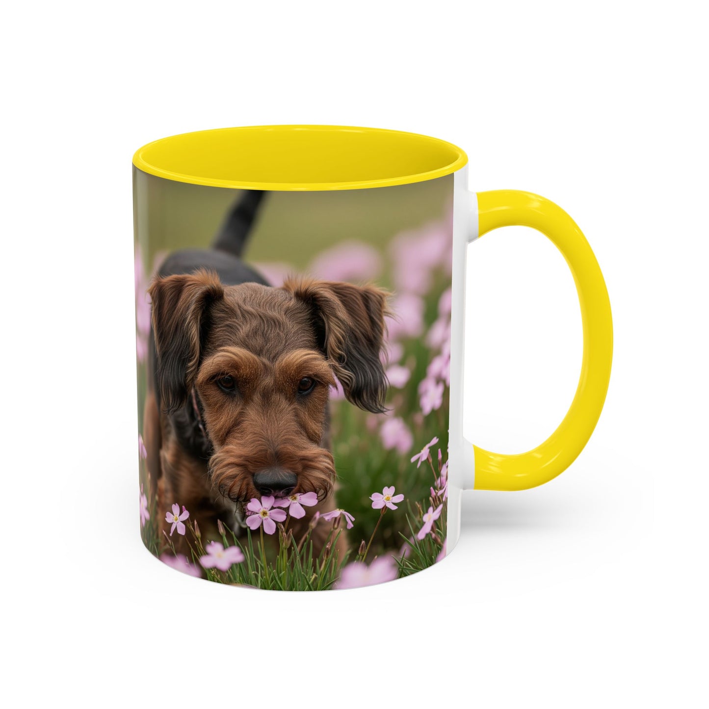 Cesky Terrier Accent Coffee Mug - Perfect Gift for Dog Lovers