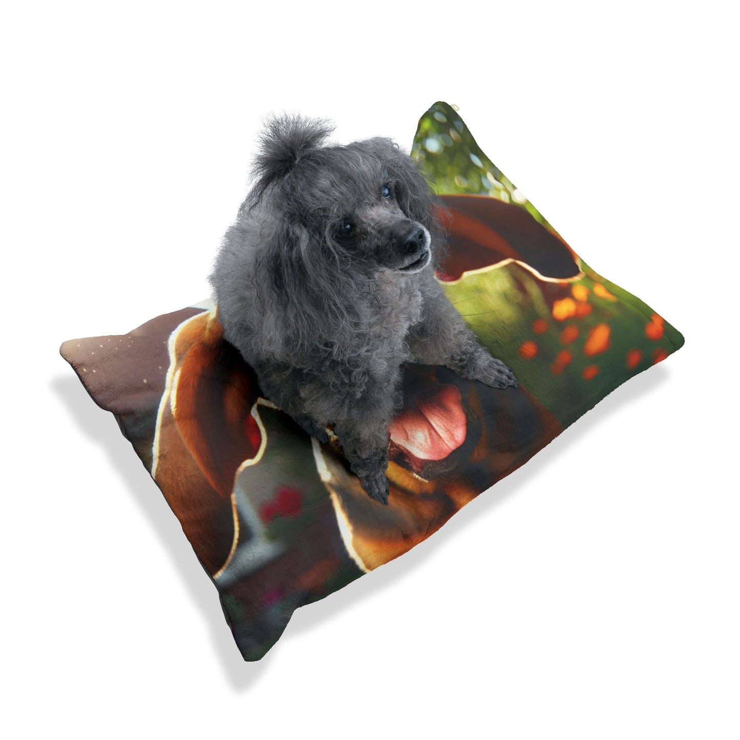 Bloodhound Pet Bed
