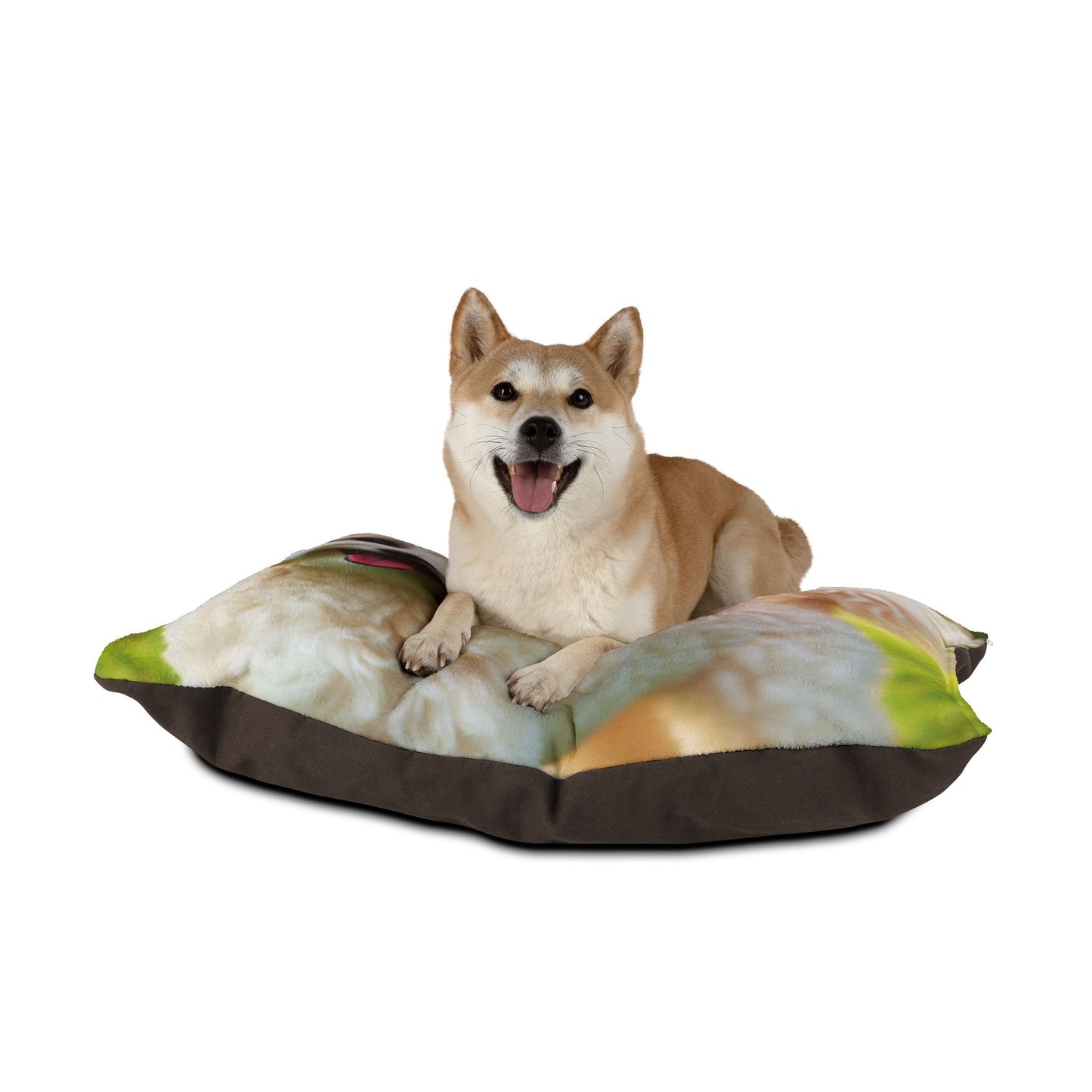 Maltipoo Pet Bed