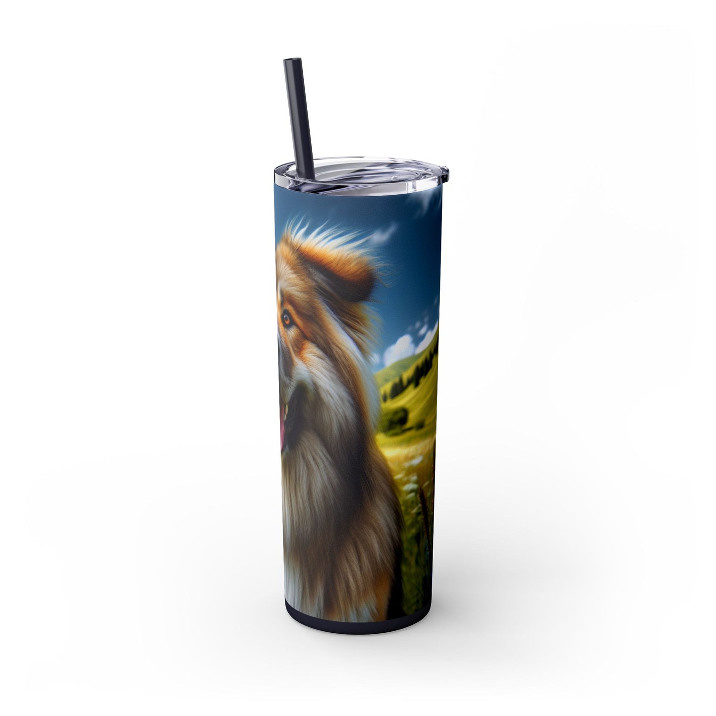 Bakharwal Tumbler with Straw, 20oz