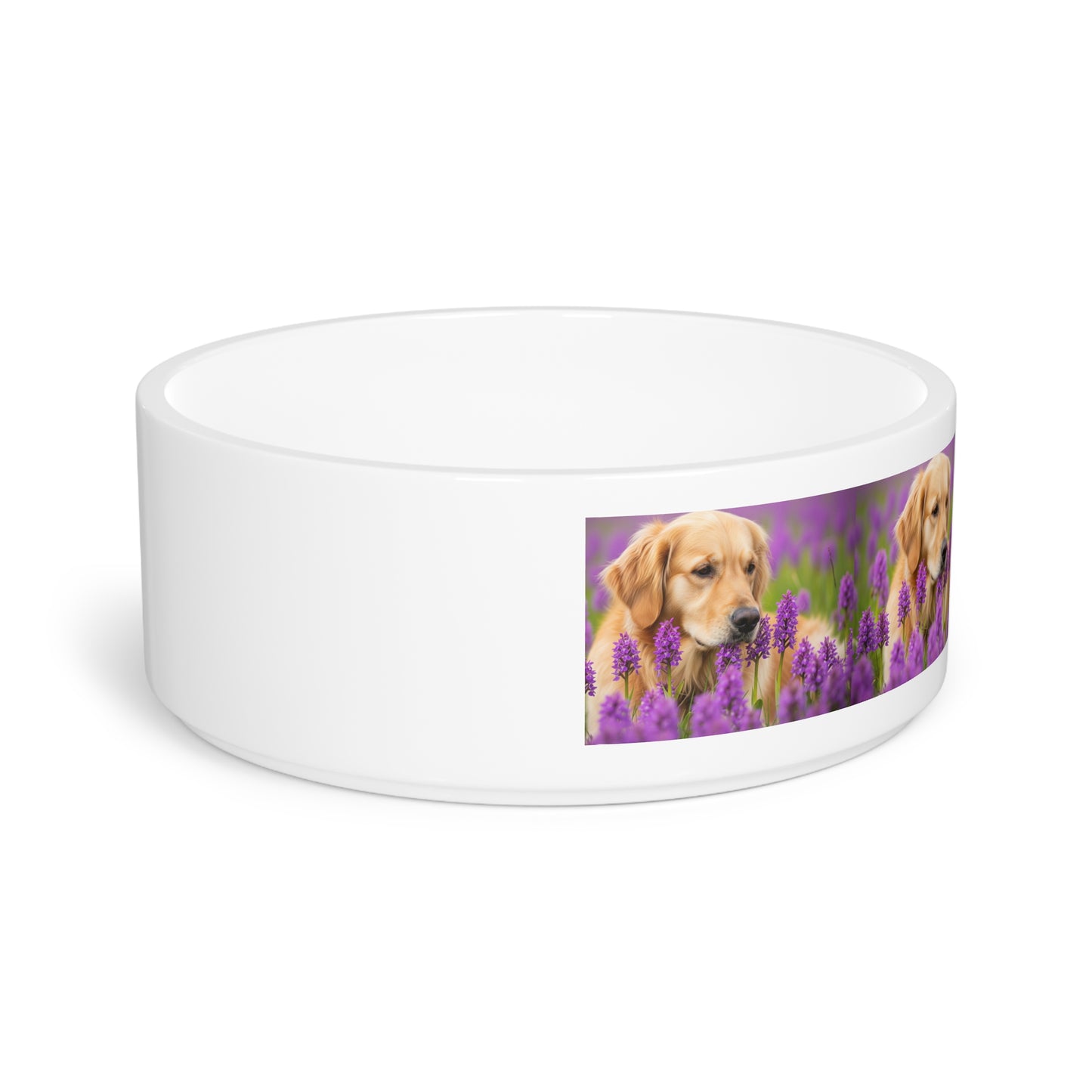 Golden Retriever Pet Bowl