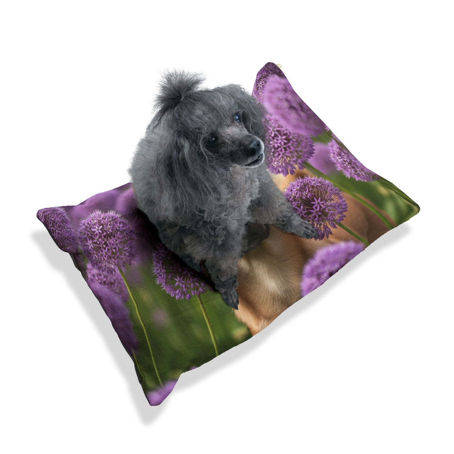 Canaan Dog Pet Bed