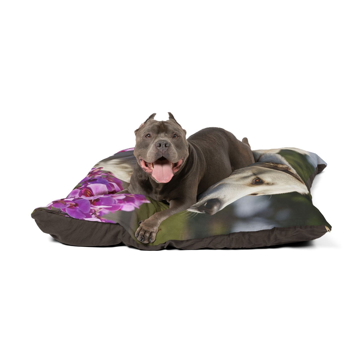 Caucasian Shepherd Dog Pet Bed