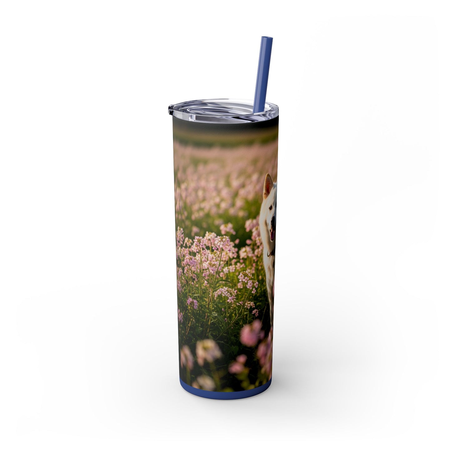 Kishu Ken Tumbler with Straw, 20oz