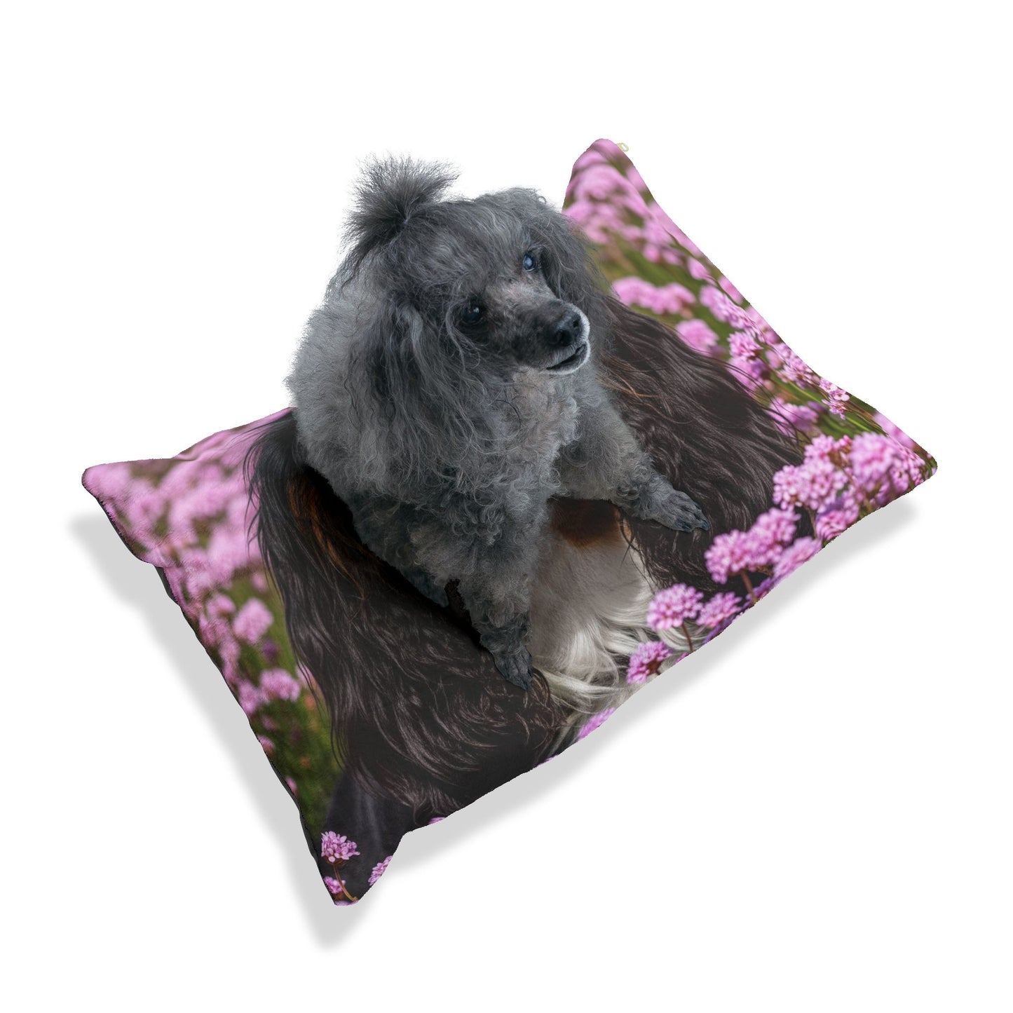 King Charles Spaniel Pet Bed