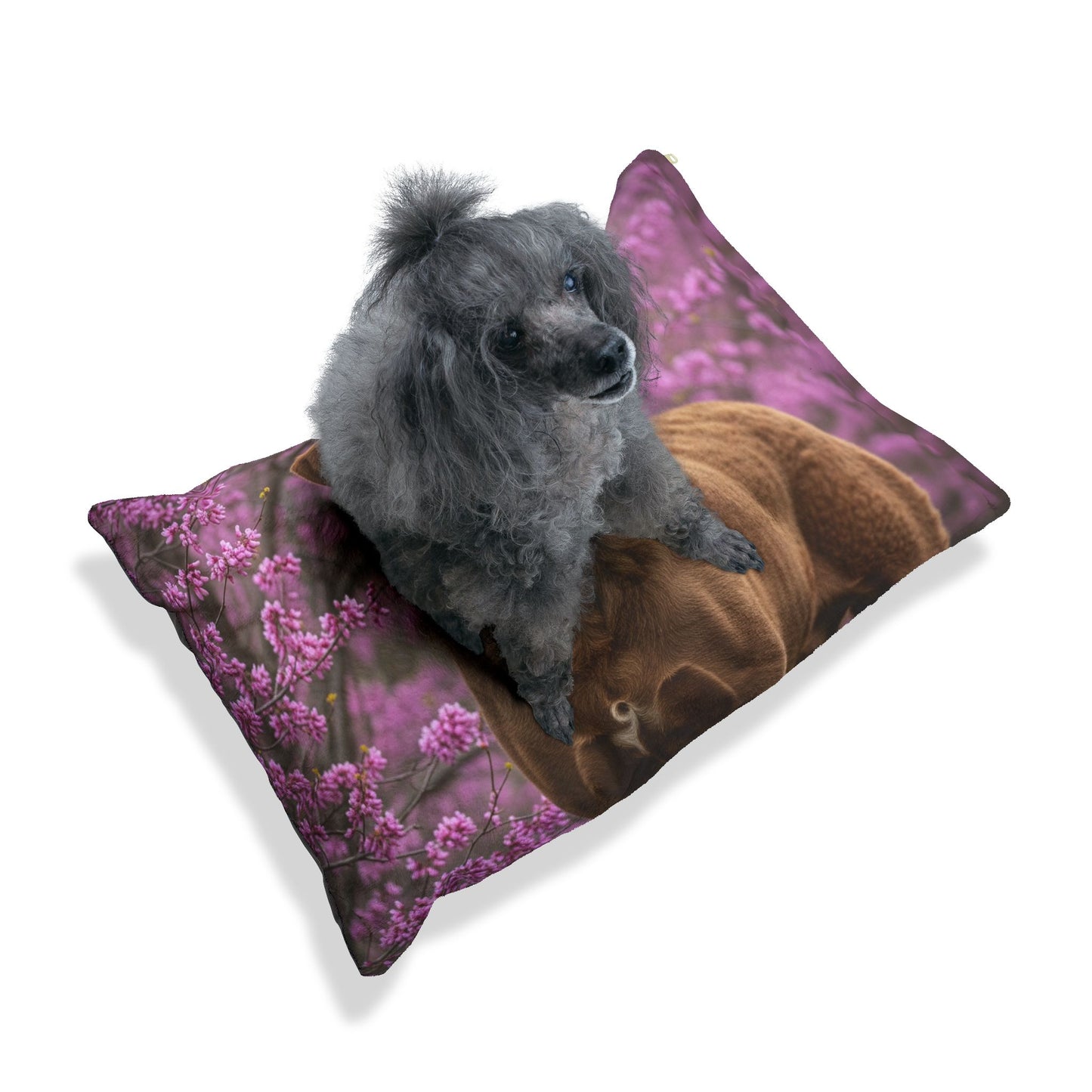 Chesapeake Bay Retriever Pet Bed