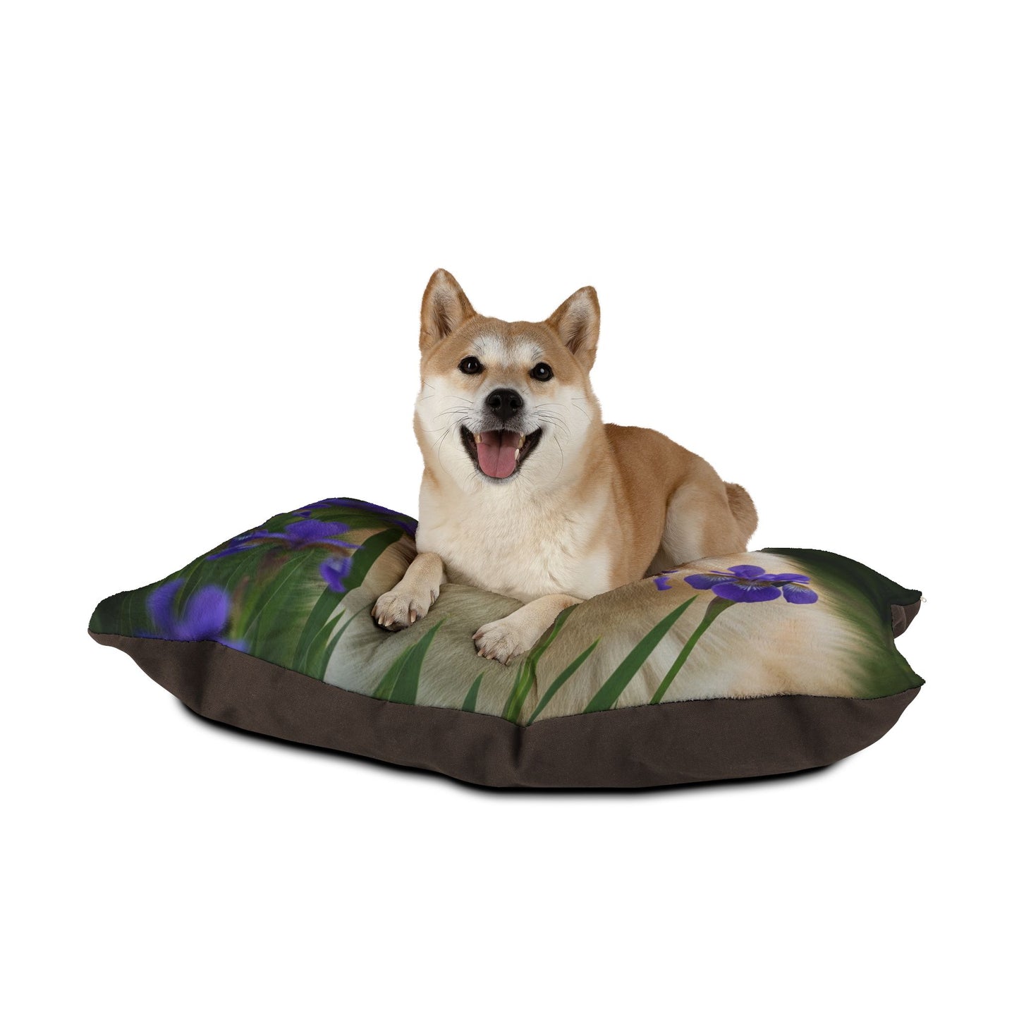 Pomsky Pet Bed