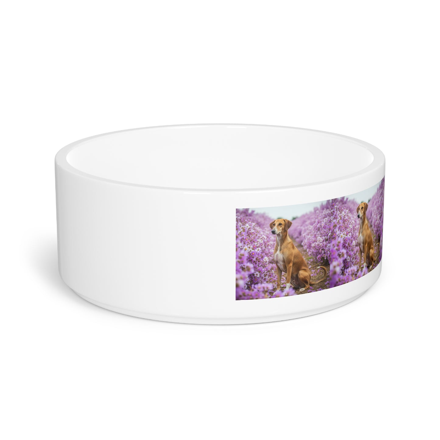 Banjara Hound Pet Bowl