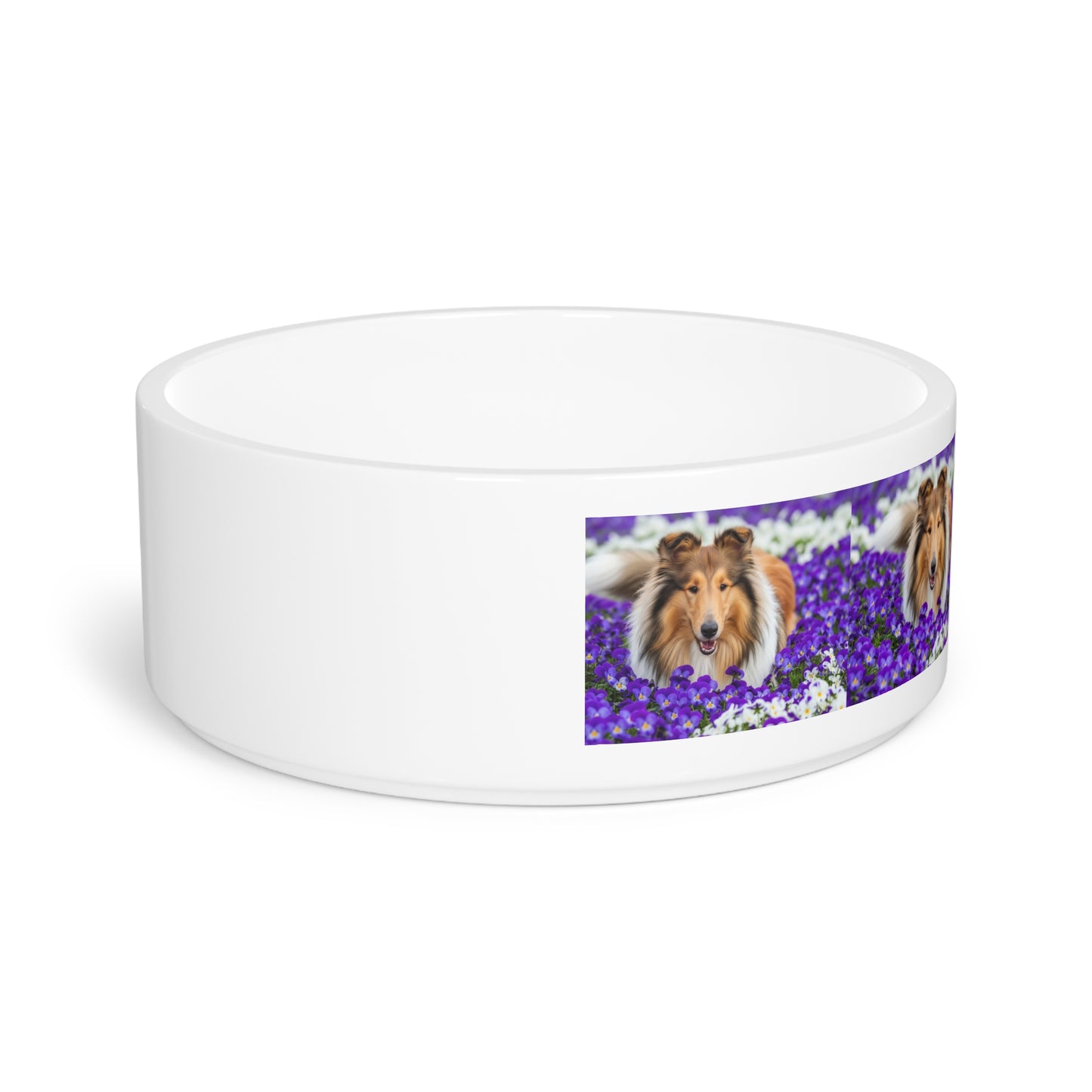 Collie Pet Bowl