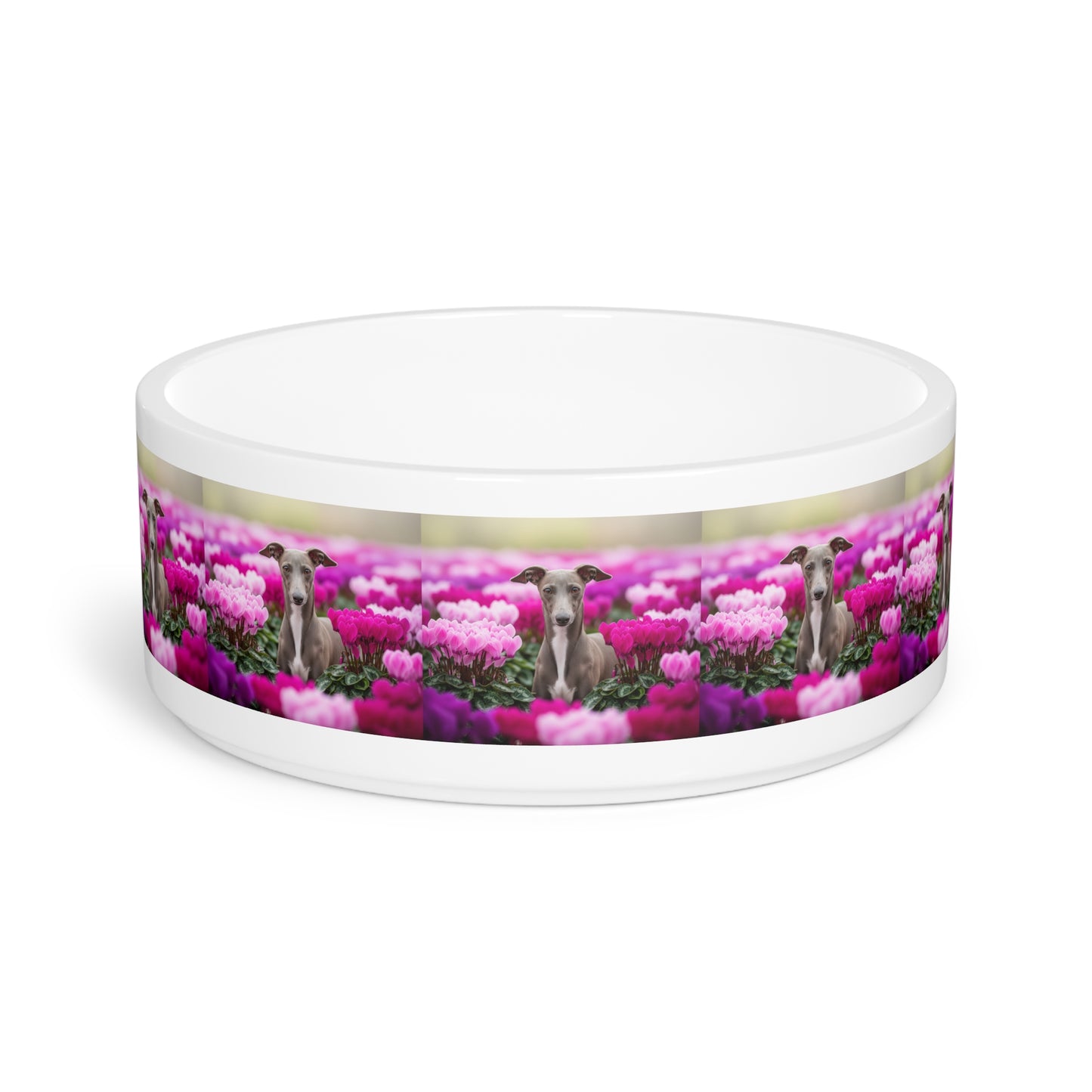 Italian Greyhound Pet Bowl