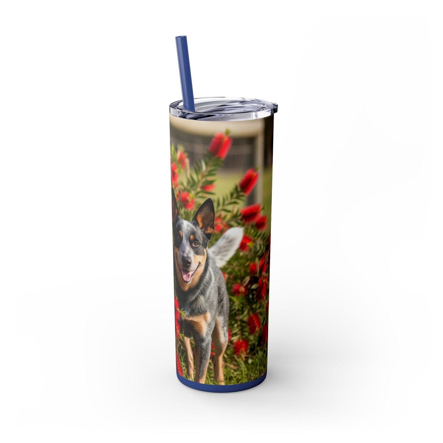 Australian Cattle Dog Skinny Tumbler with Straw, 20oz