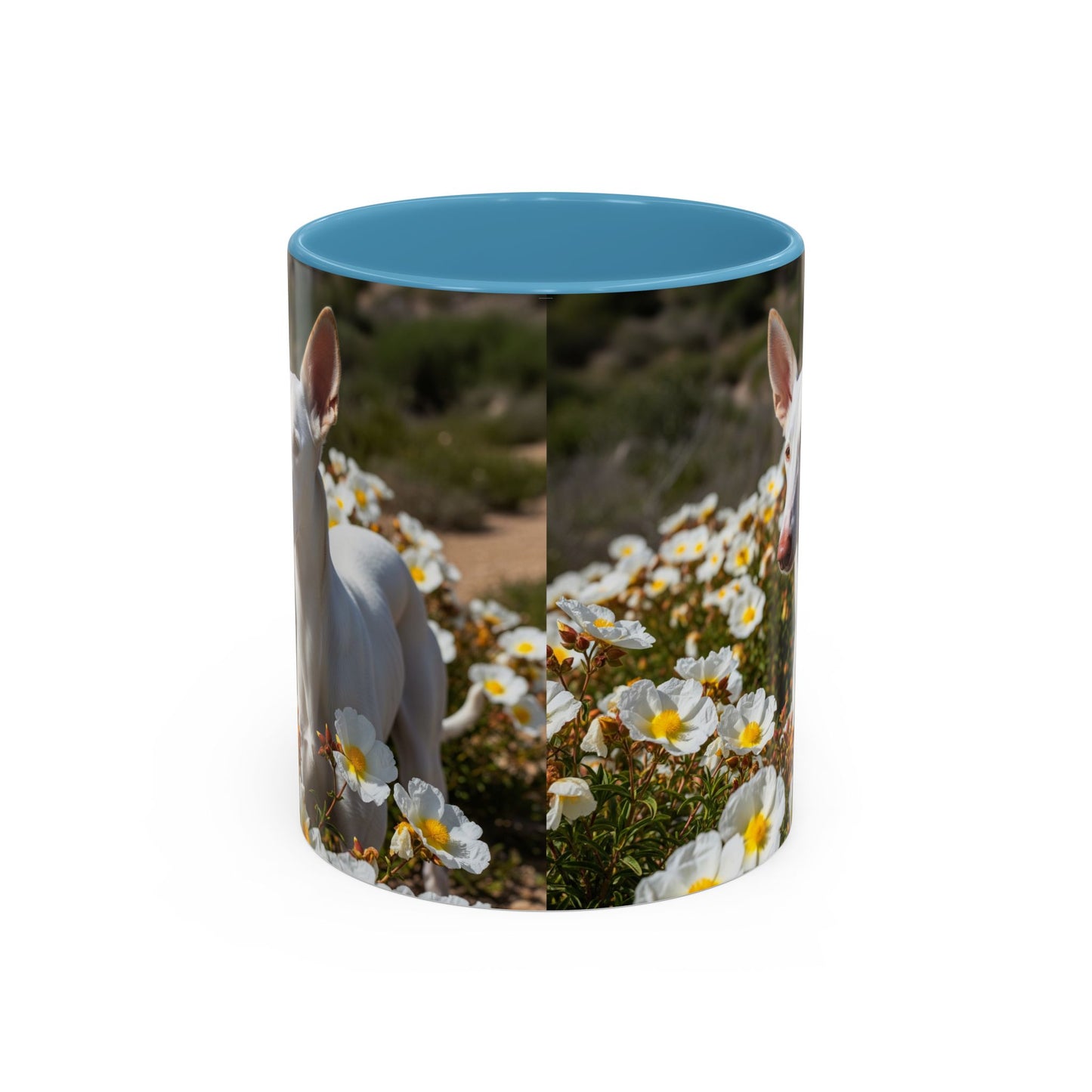 Ibizan Hound Accent Coffee Mug - Perfect Gift for Dog Lovers