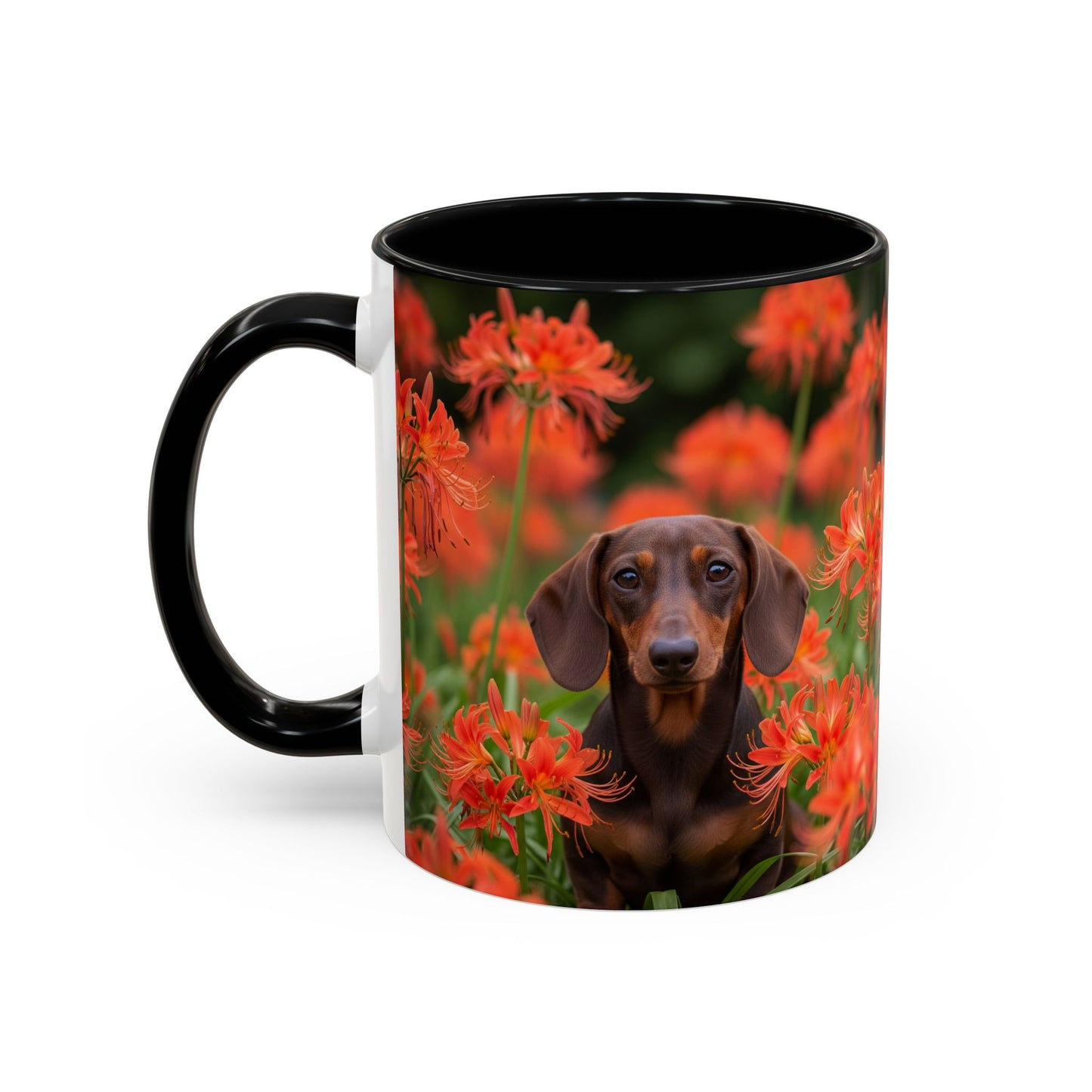 Dachshund Accent Coffee Mug - Perfect Gift for Dog Lovers