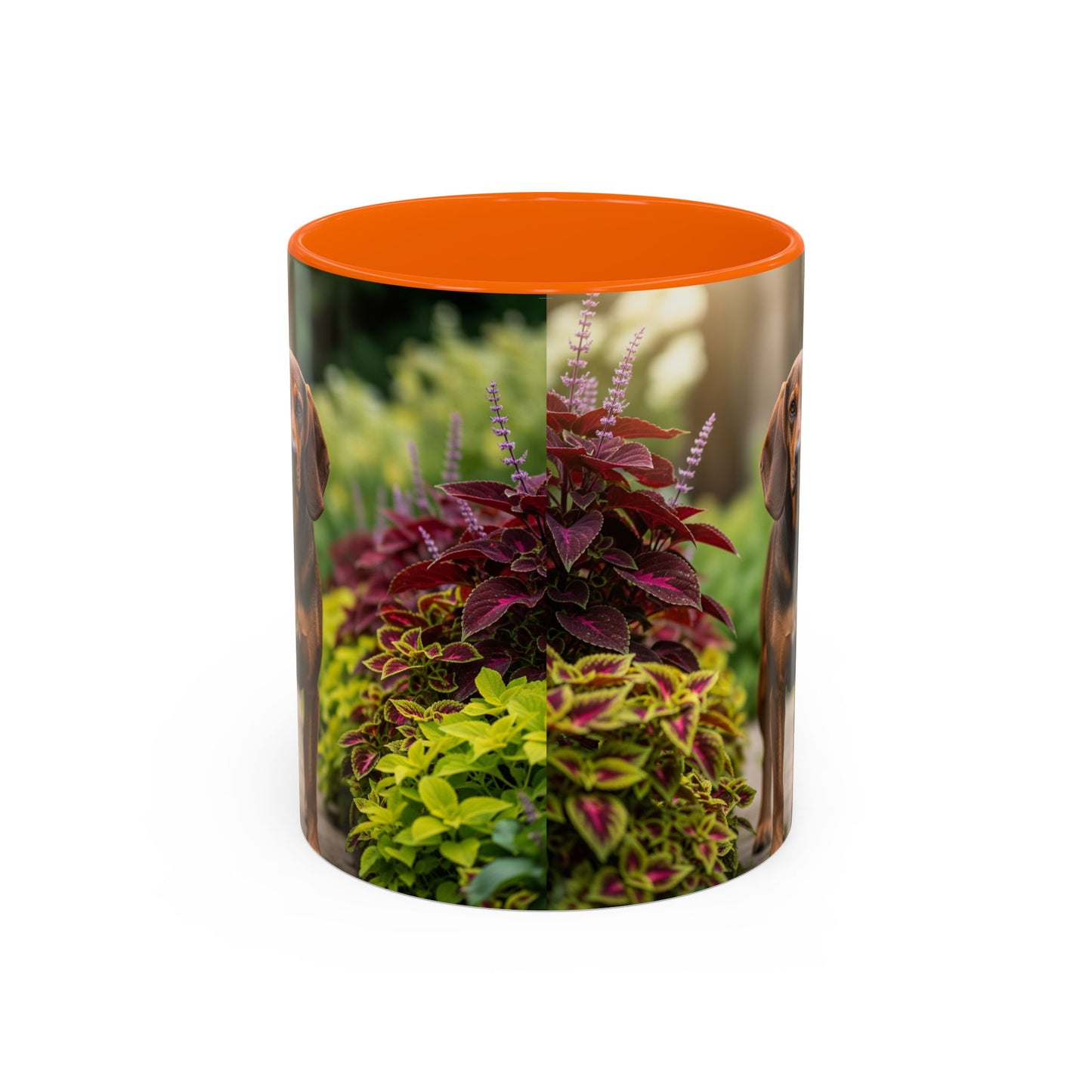 Hamiltonstovare Accent Coffee Mug - Perfect Gift for Dog Lovers