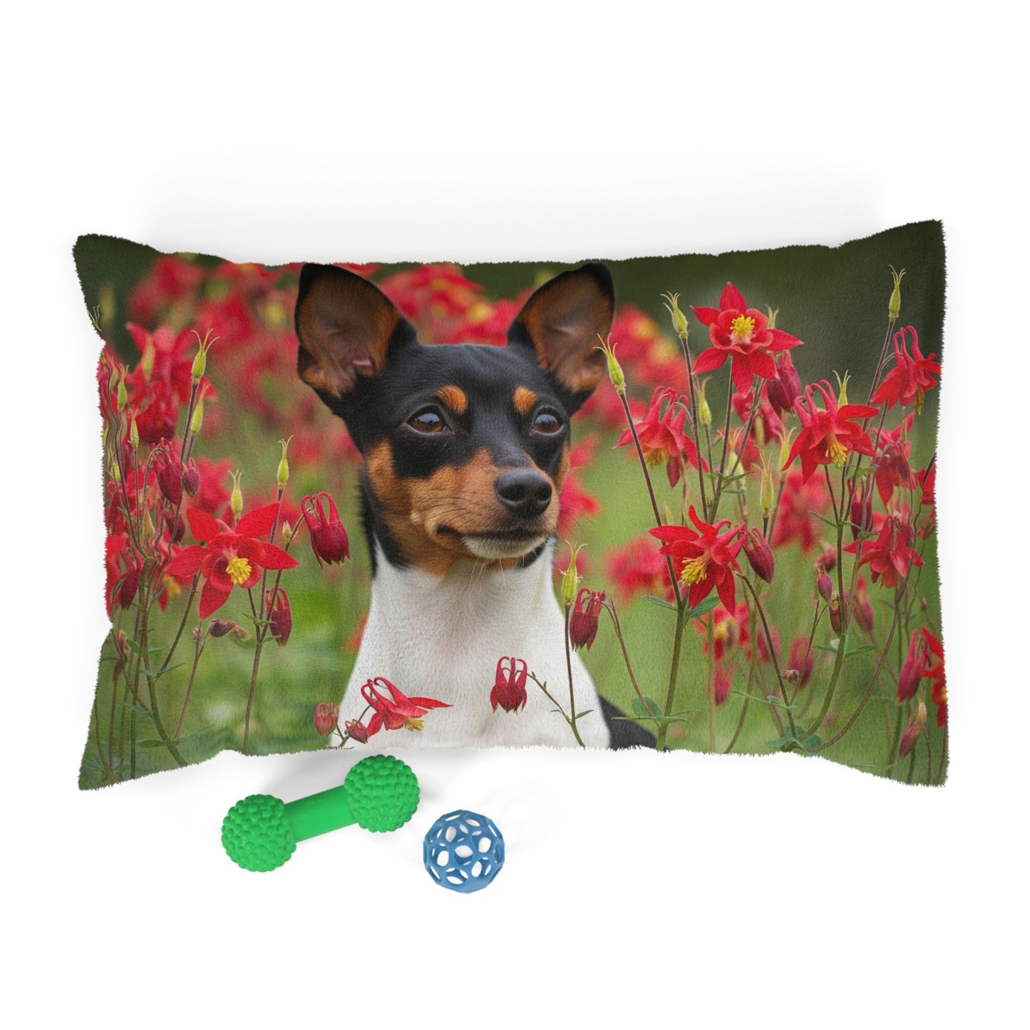 Toy Fox Terrier Pet Bed