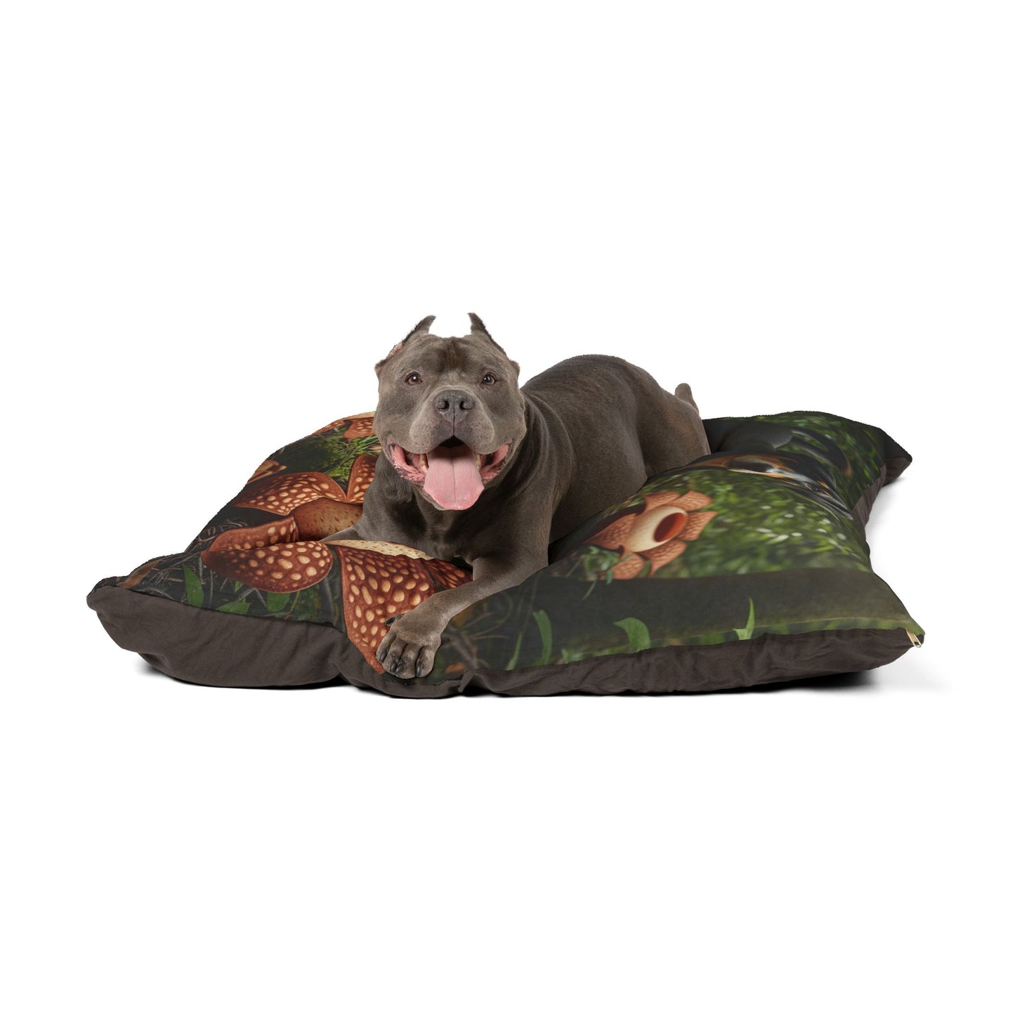 Telomian Pet Bed