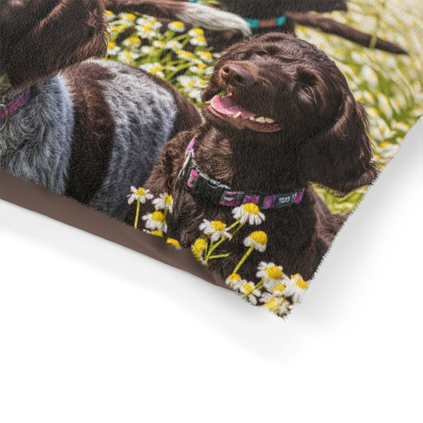 Pudelpointer Pet Bed