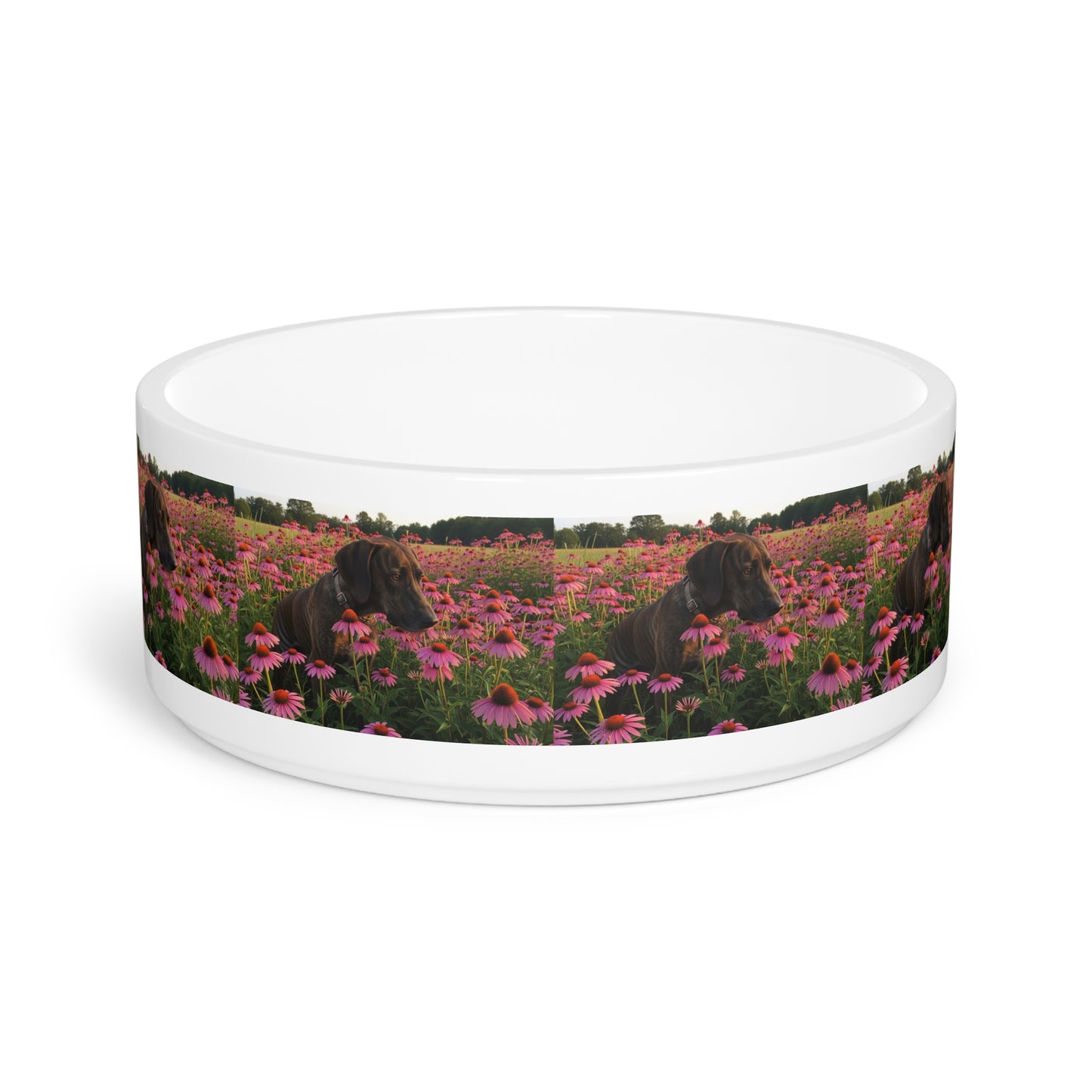 Treeing Tennessee Brindle Pet Bowl
