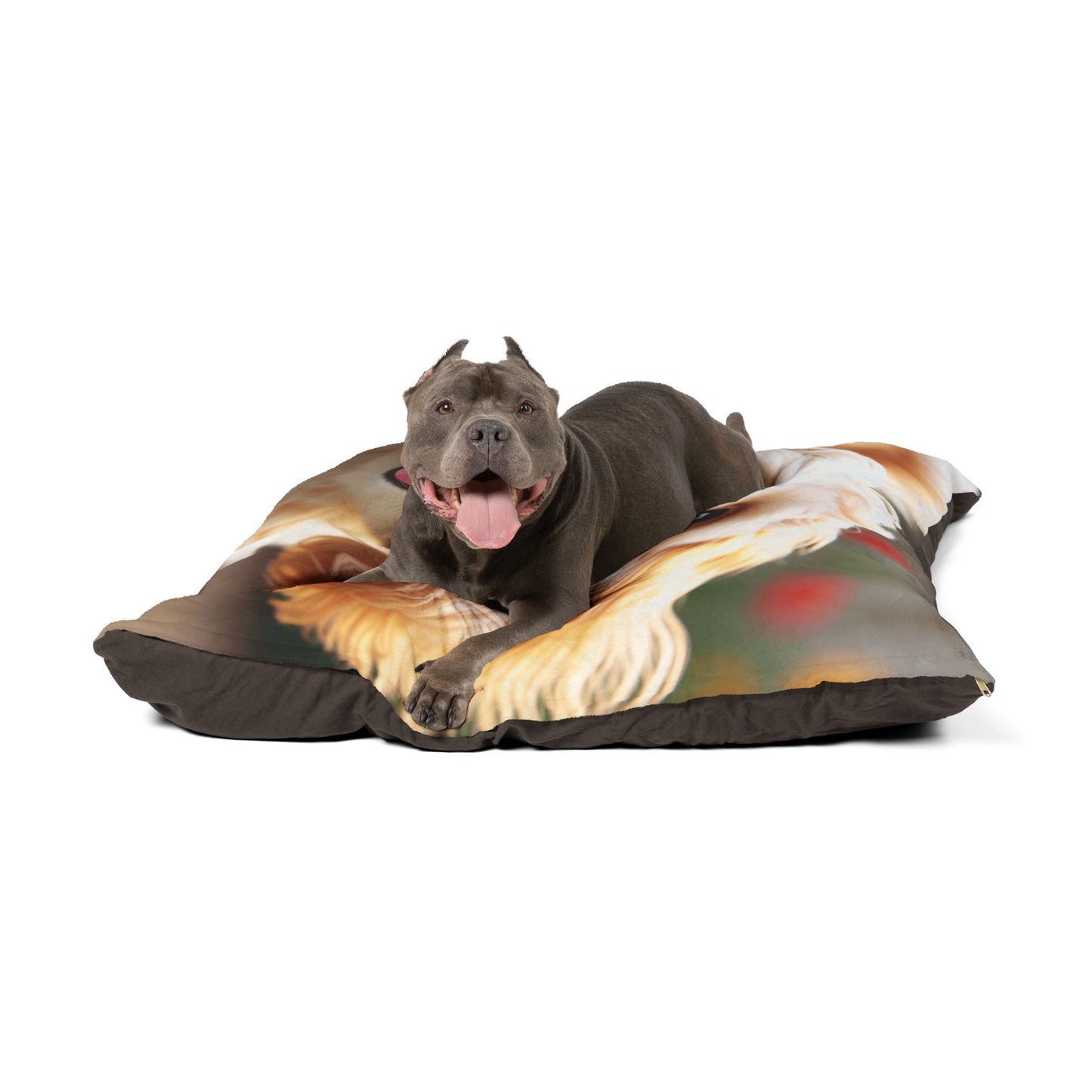 Cavachon Pet Bed