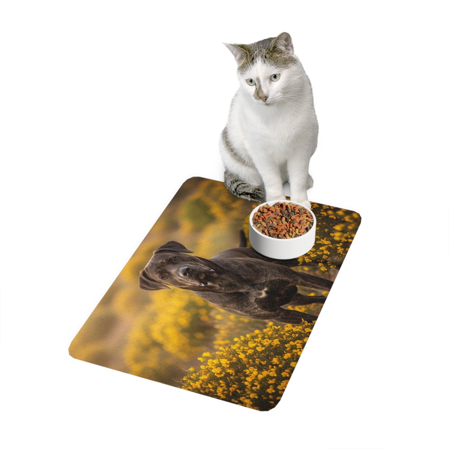 Pet Food Mat (12x18) - Rafeiro do Alentejo