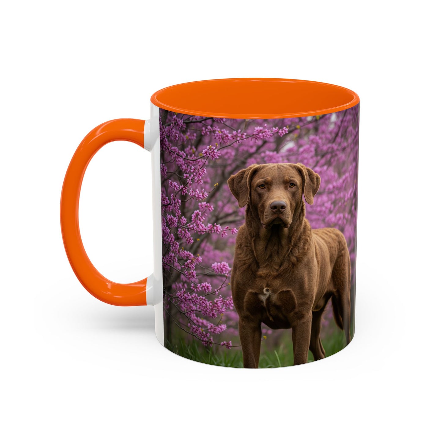 Chesapeake Bay Retriever Accent Coffee Mug - Perfect Gift for Dog Lovers