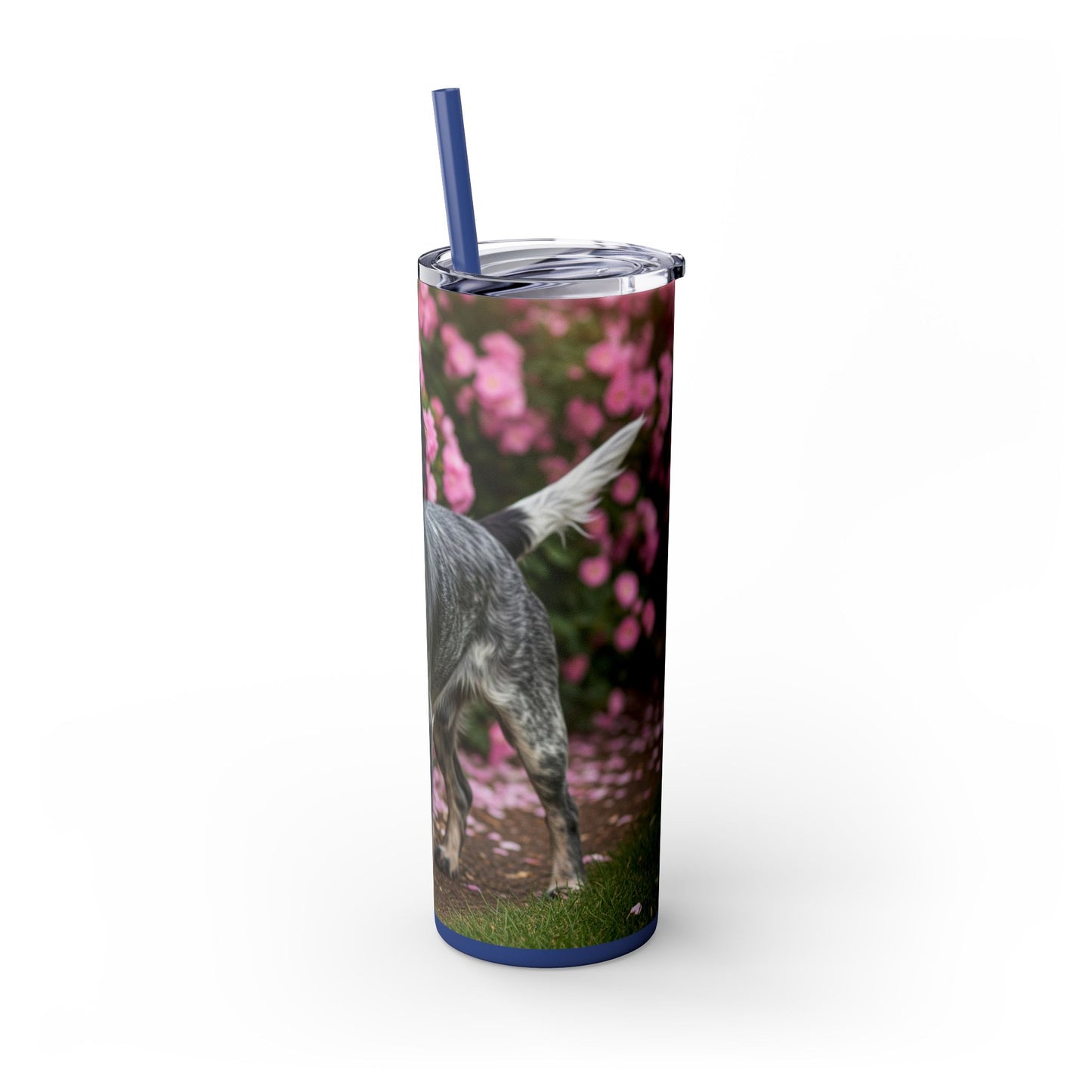 Blue Picardy Spaniel Tumbler with Straw, 20oz