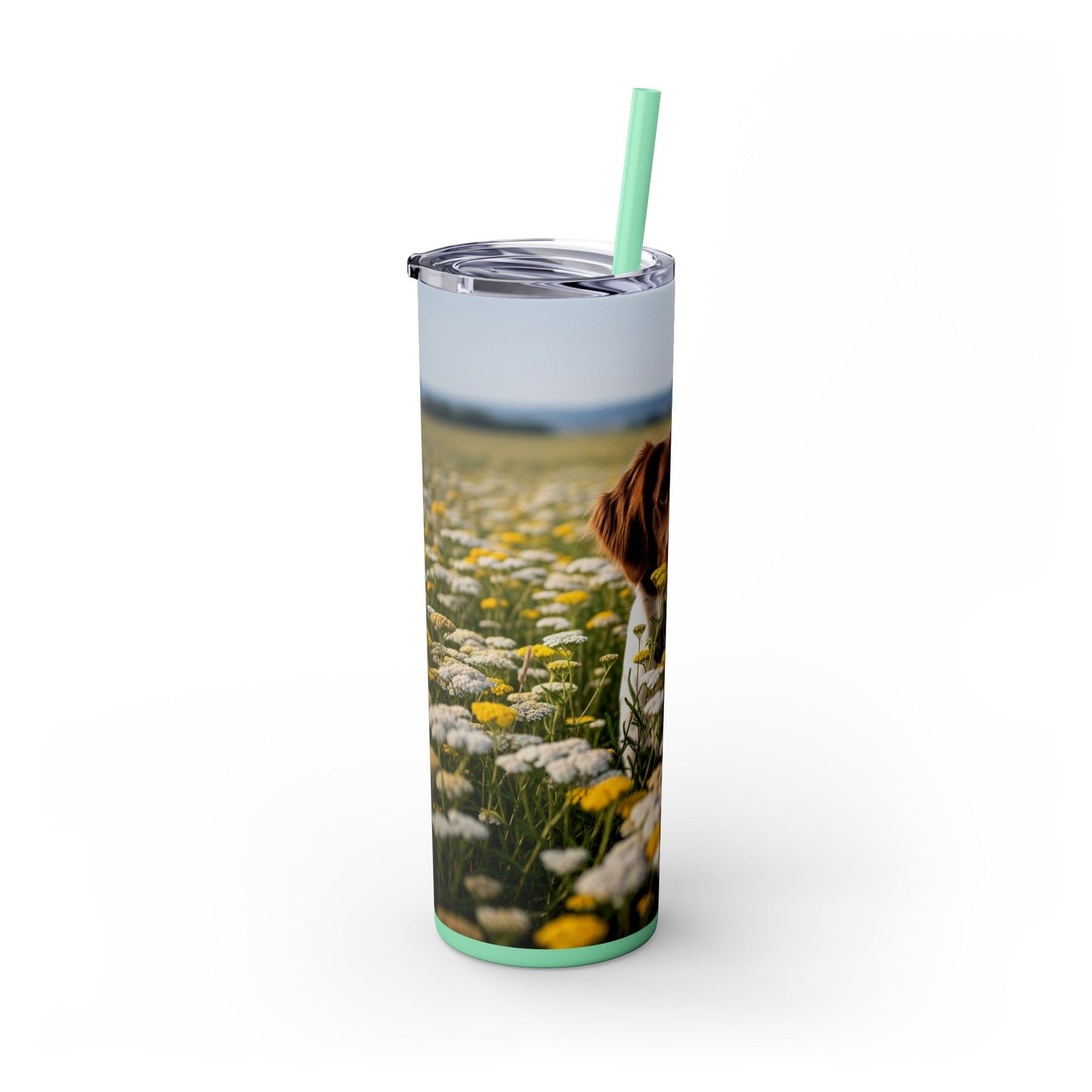 Drentsche Patrijshond Skinny Tumbler with Straw, 20oz
