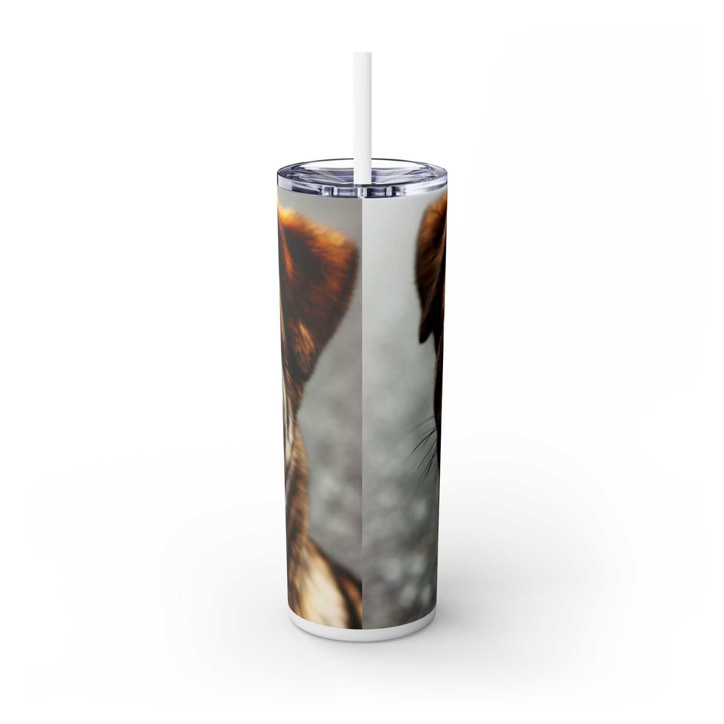 Kai Ken Tumbler with Straw, 20oz