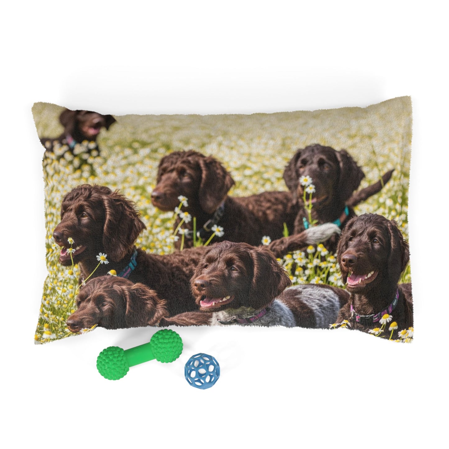 Pudelpointer Pet Bed