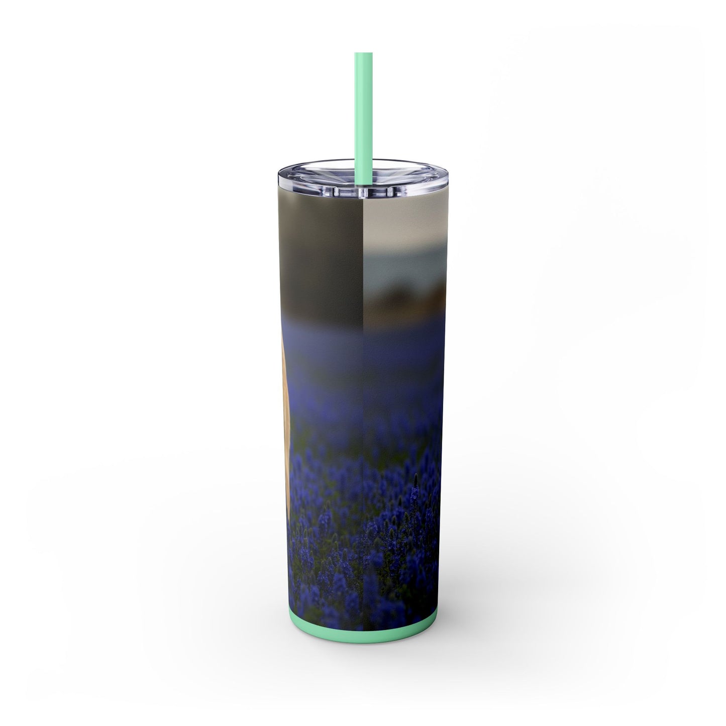 Kangal Shepherd Dog Tumbler with Straw, 20oz