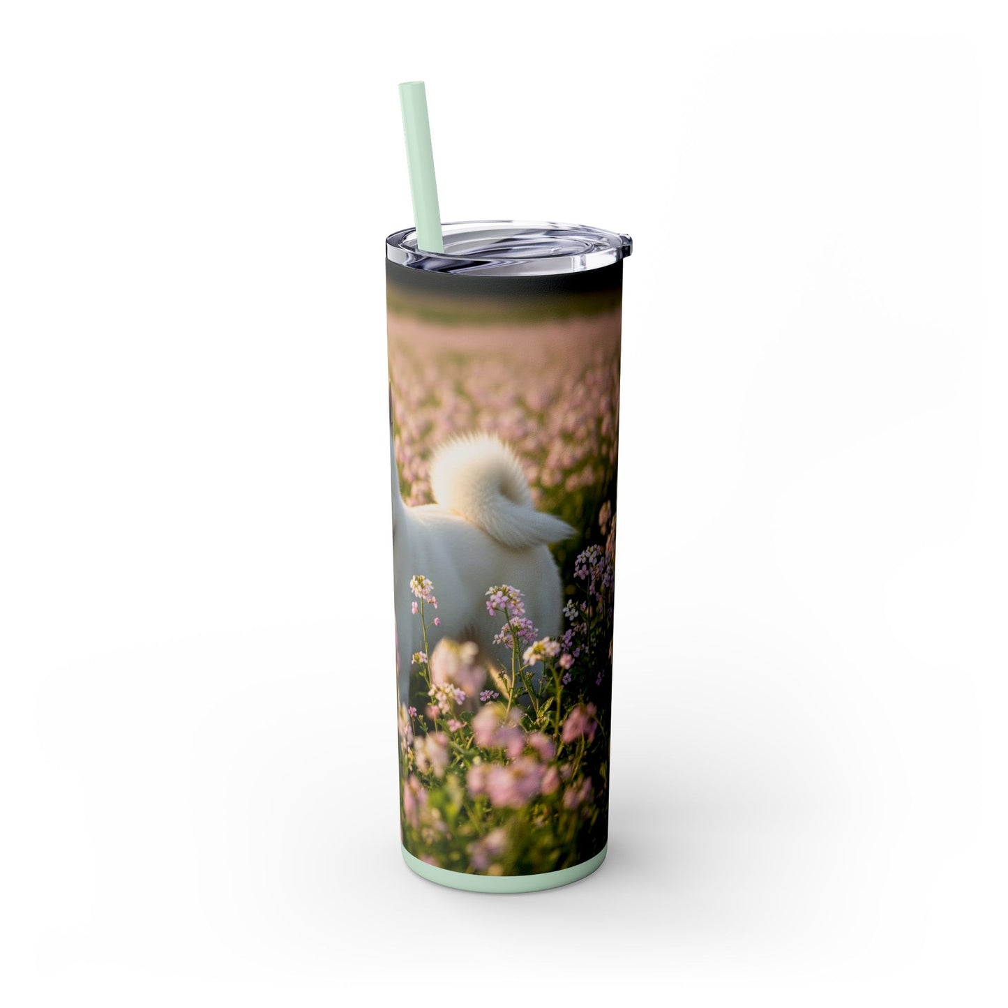 Kishu Ken Tumbler with Straw, 20oz